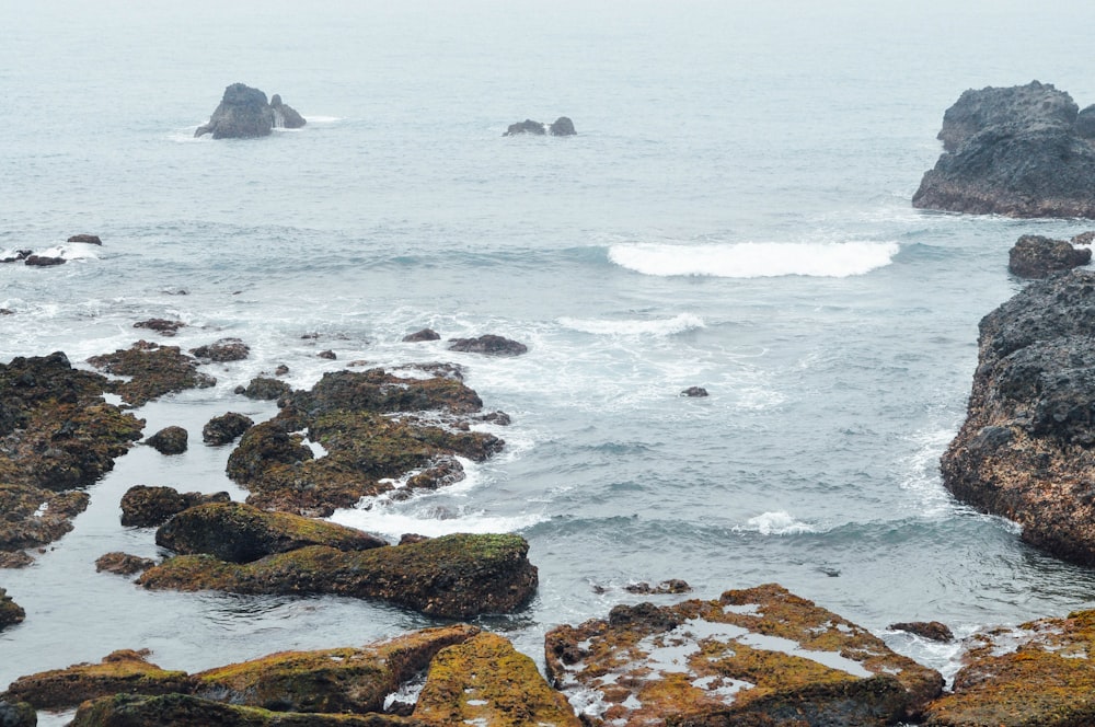 brown and green rock formation on sea during daytime