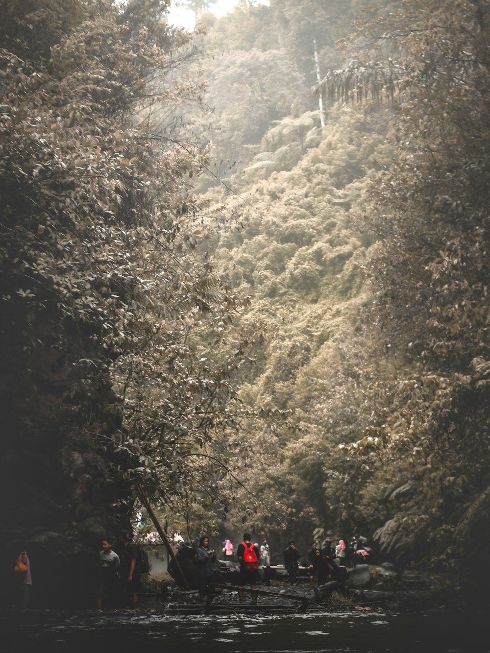 people walking on road near trees during daytime