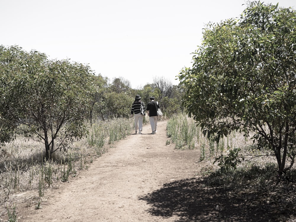 woman in black and white stripe shirt walking on dirt road between green plants during daytime