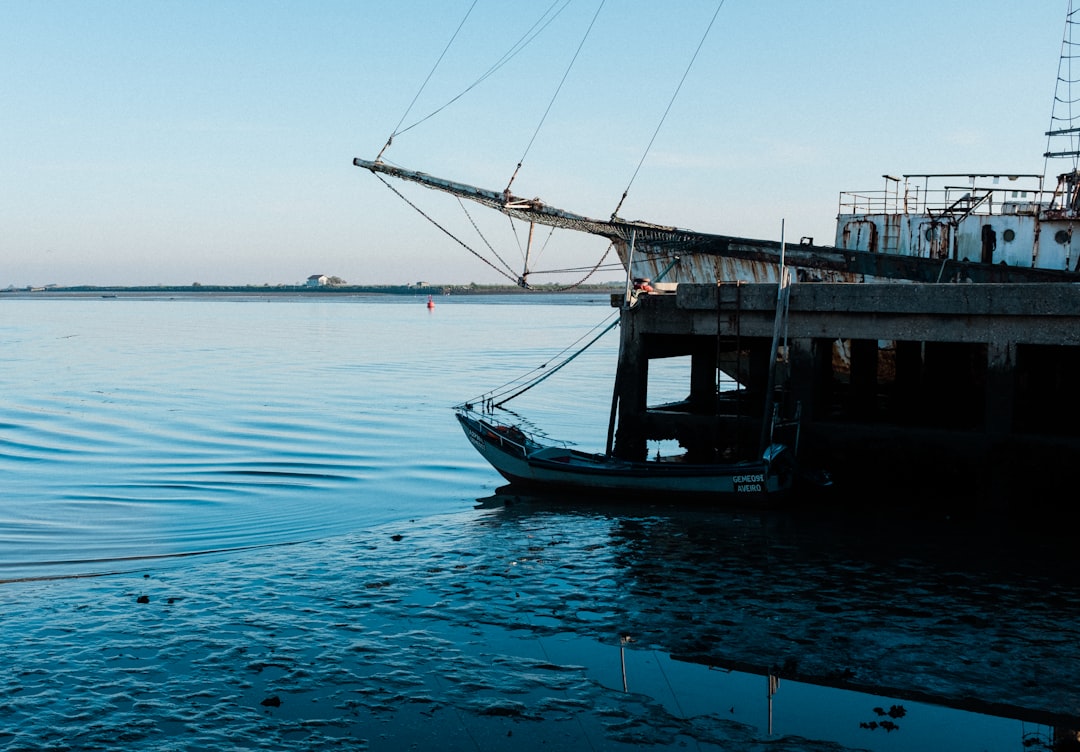 Ocean photo spot Aveiro Porto