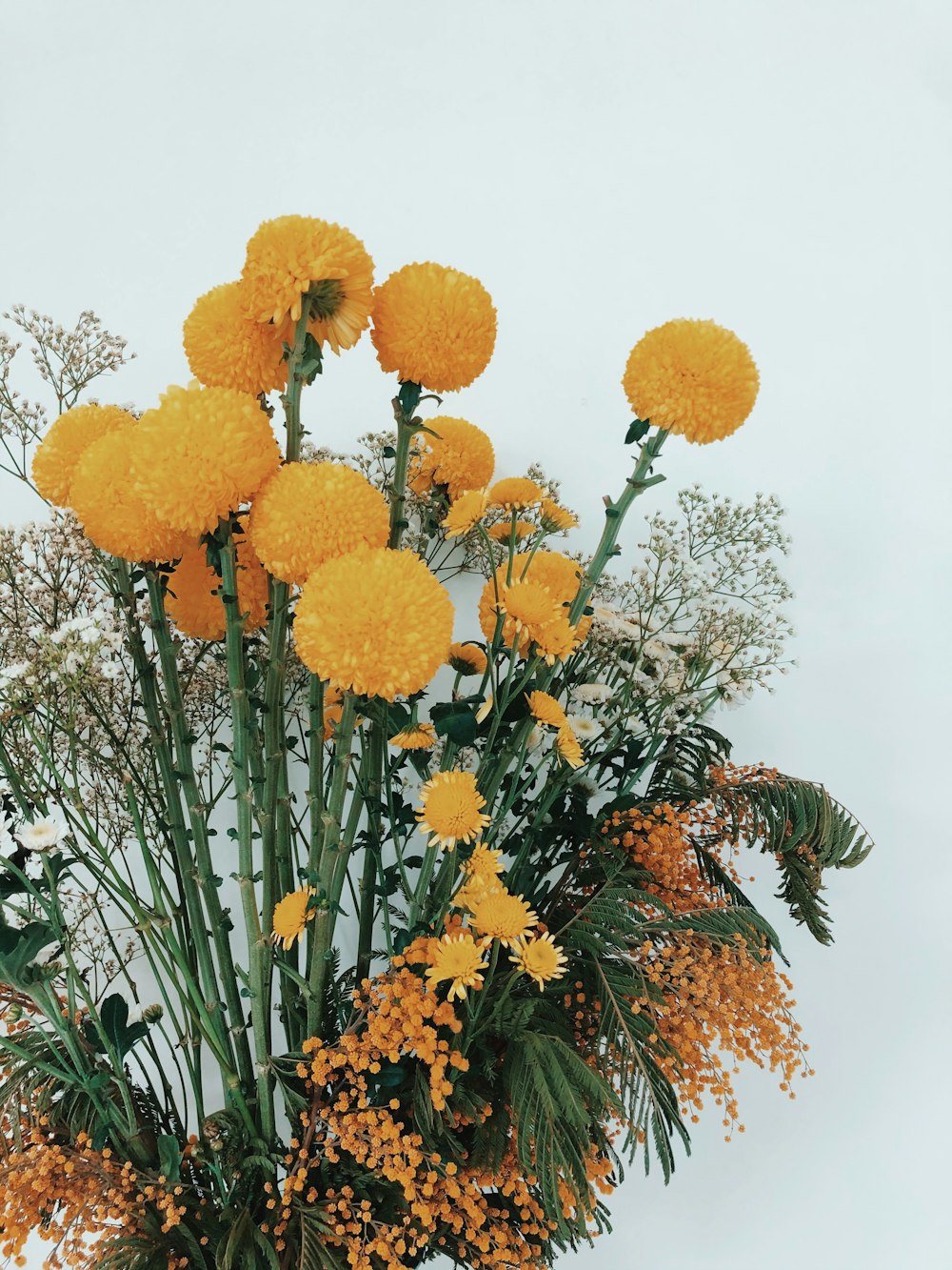 yellow flowers with green leaves