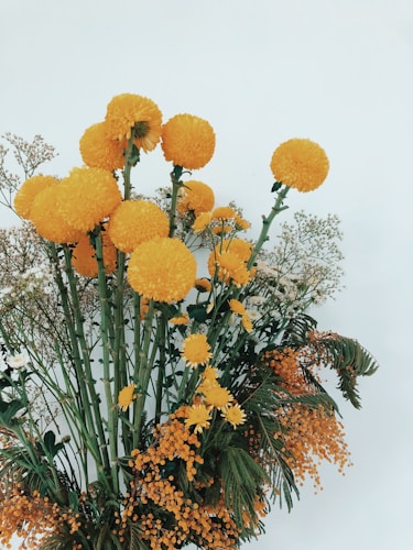 Photo 1583053693270 E2f1d45cedcd?q=85&w=500&h=500&fit=crop