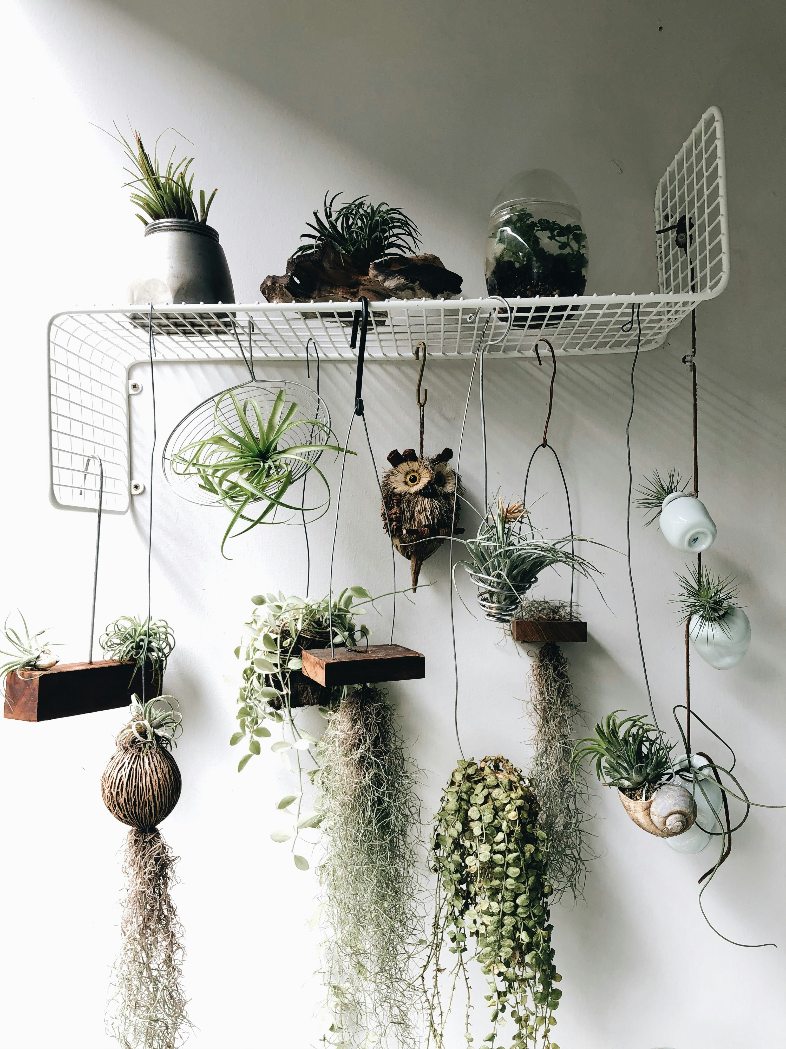 Photo by chuttersnap