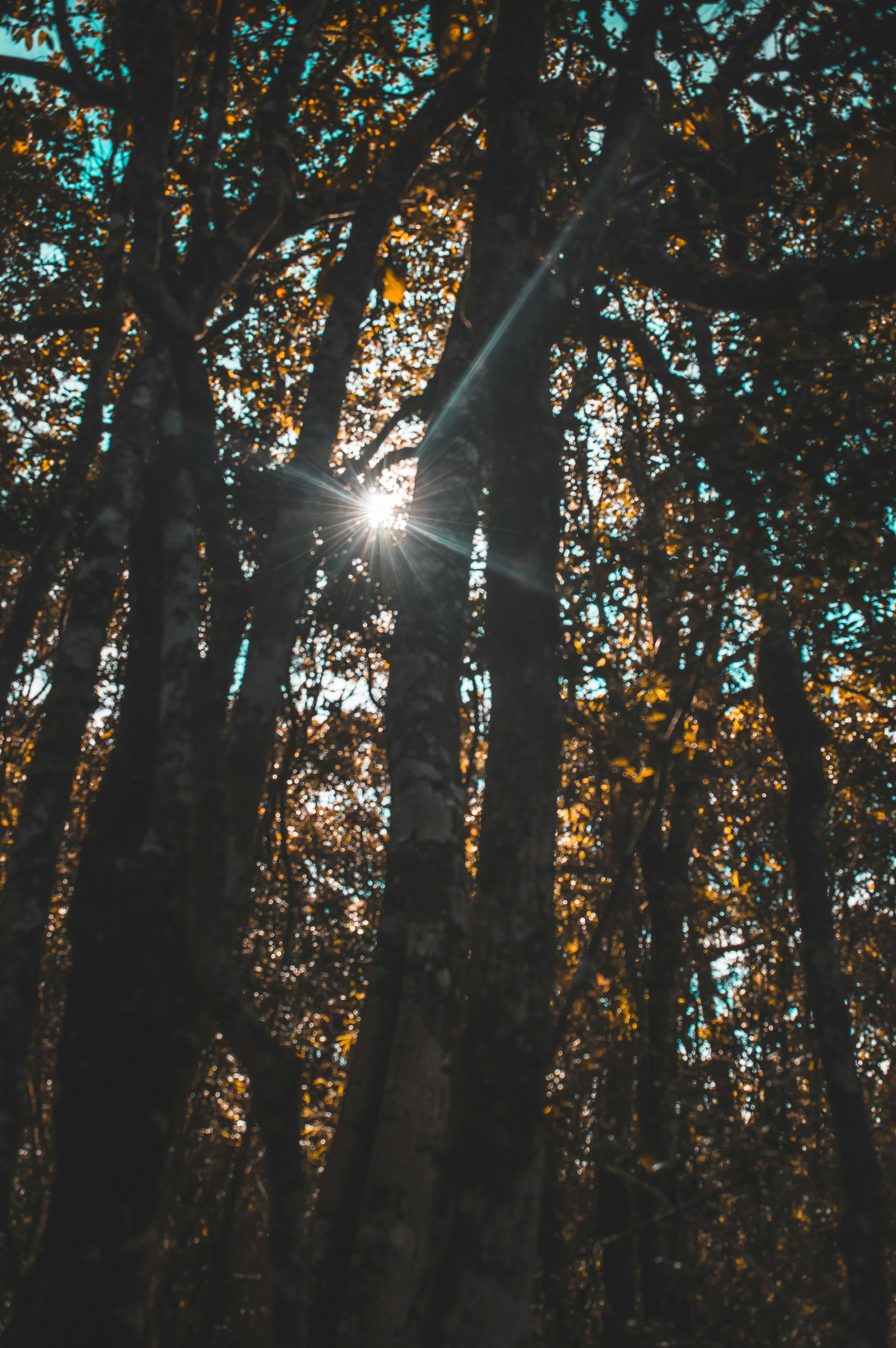 Photo by _abbashussain