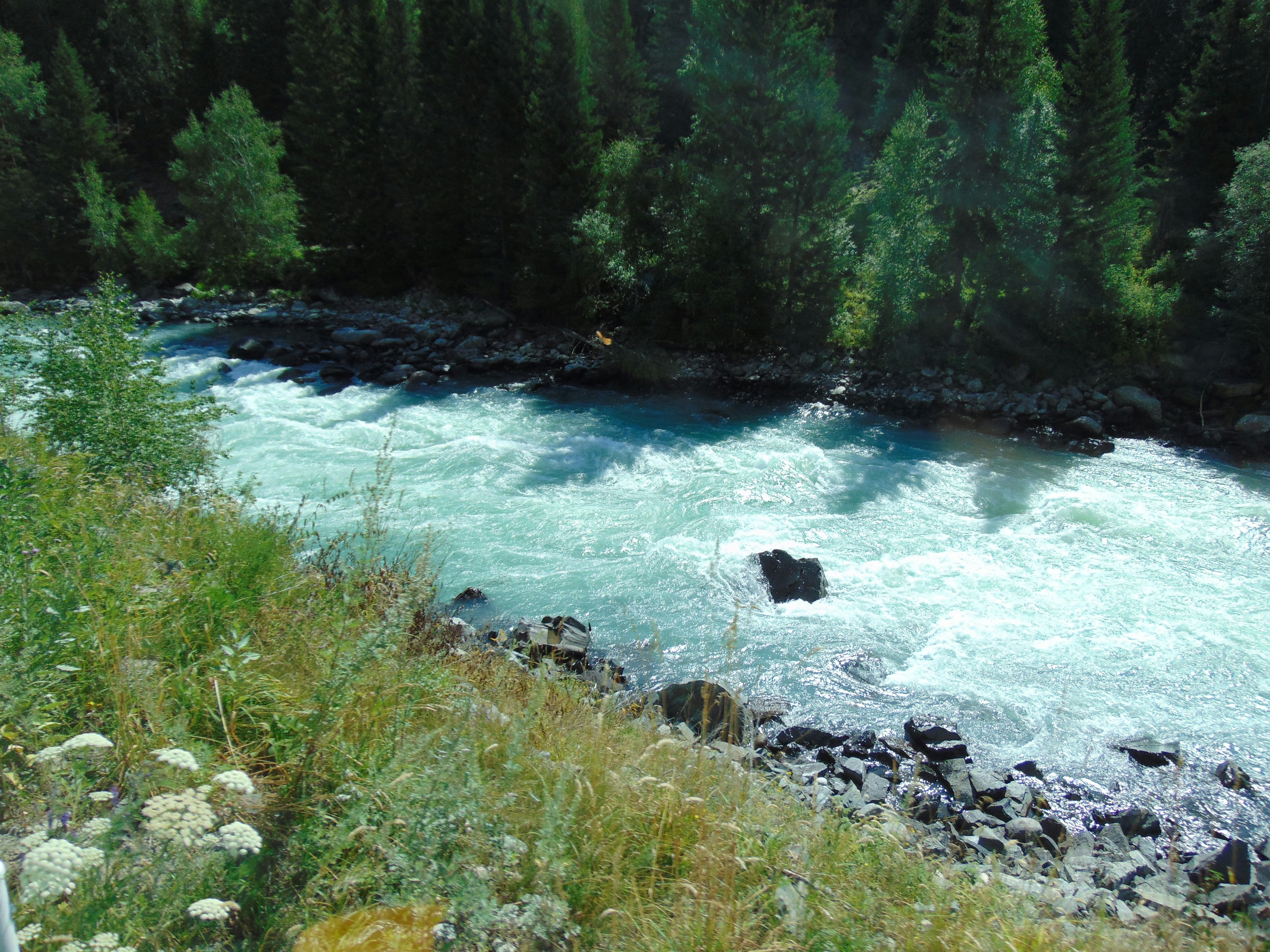 Photo by wangvictor222