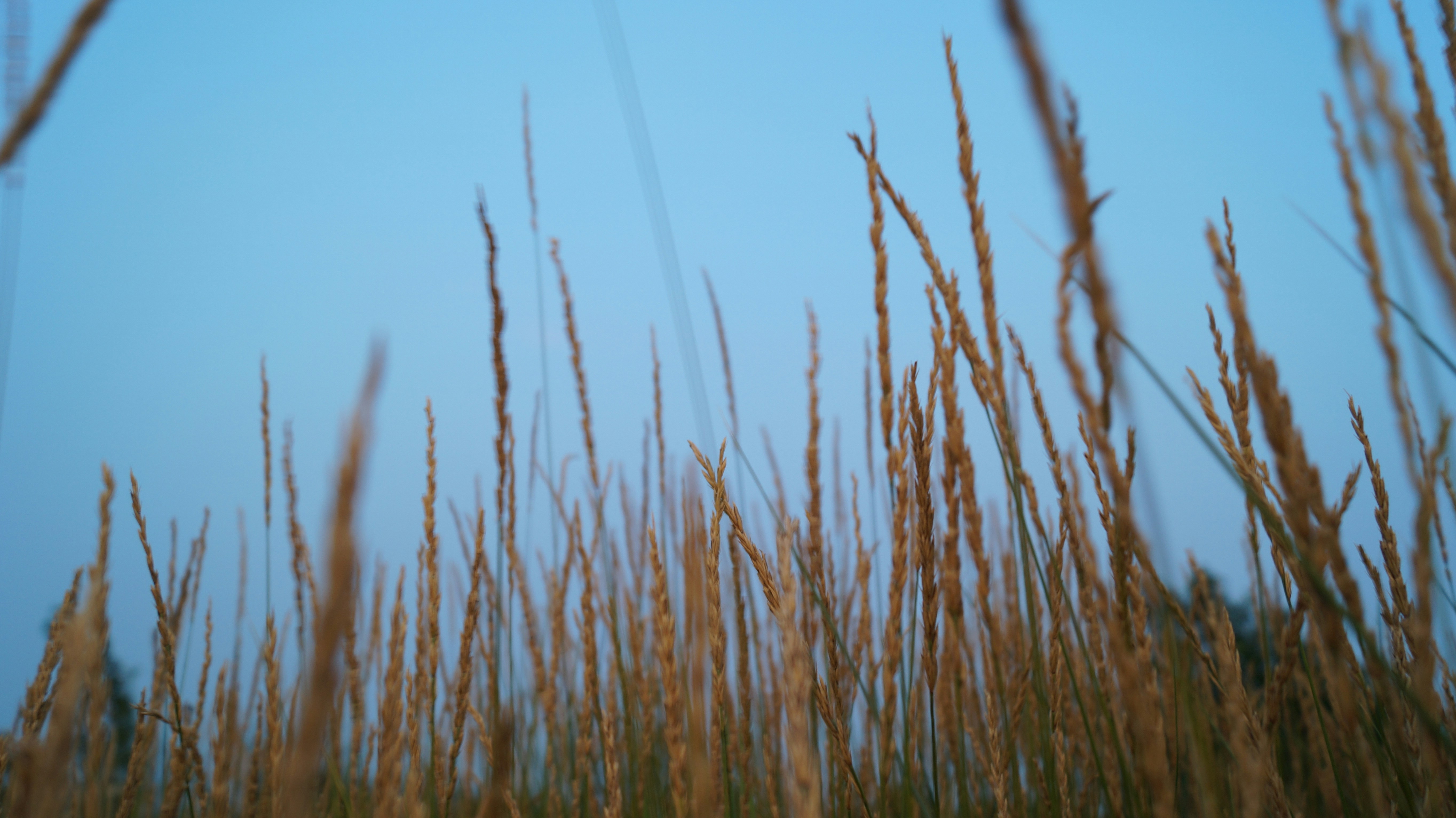 Photo by yingchih_hao