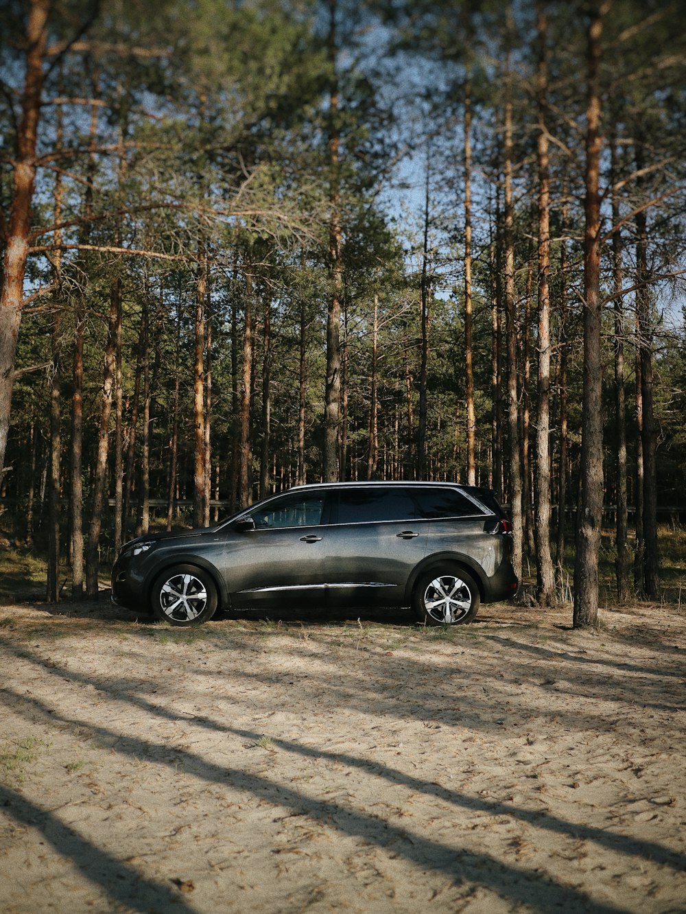 black sedan on road surrounded by trees during daytime