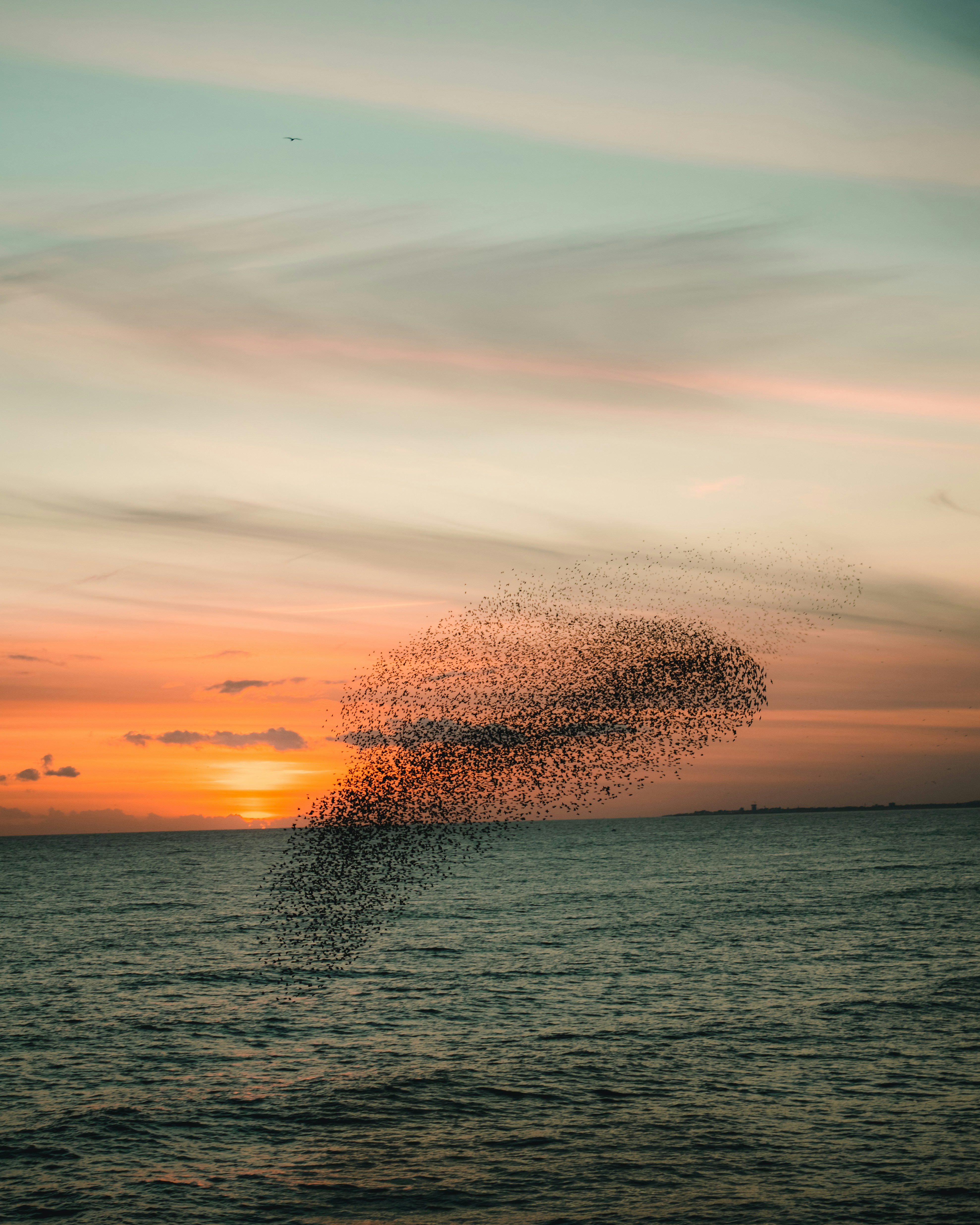 body of water under cloudy sky during sunset