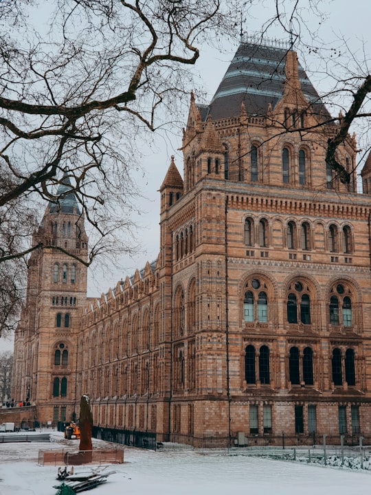 brown concrete building during daytime in Natural History Museum United Kingdom