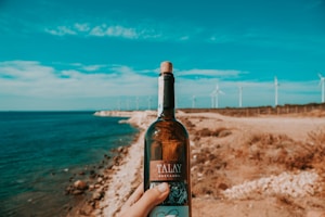 A hand holds a wine bottle labeled 'Talay' in the foreground near a rocky coastline. The background features several wind turbines in a row along the shore under a blue sky.