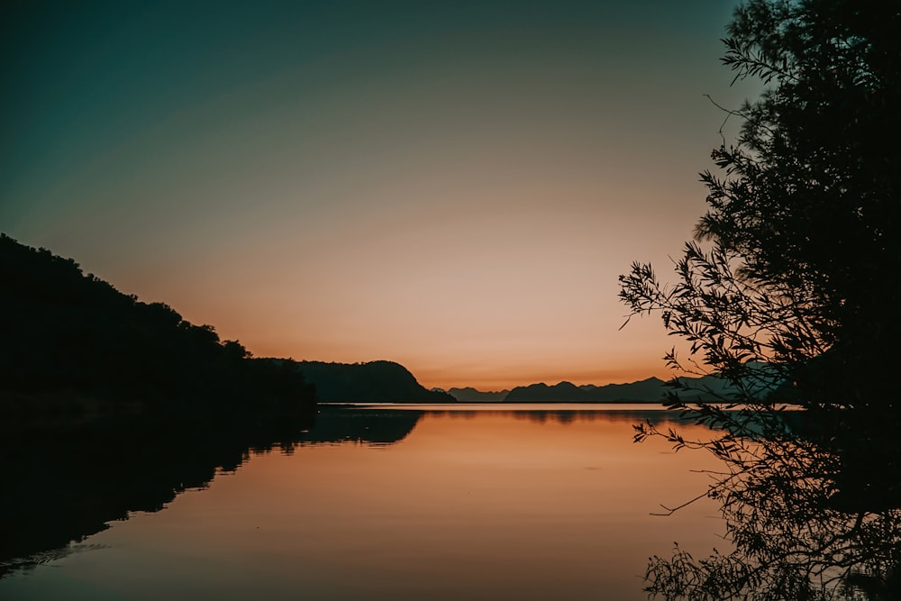 silhouette of trees near body of water during sunset