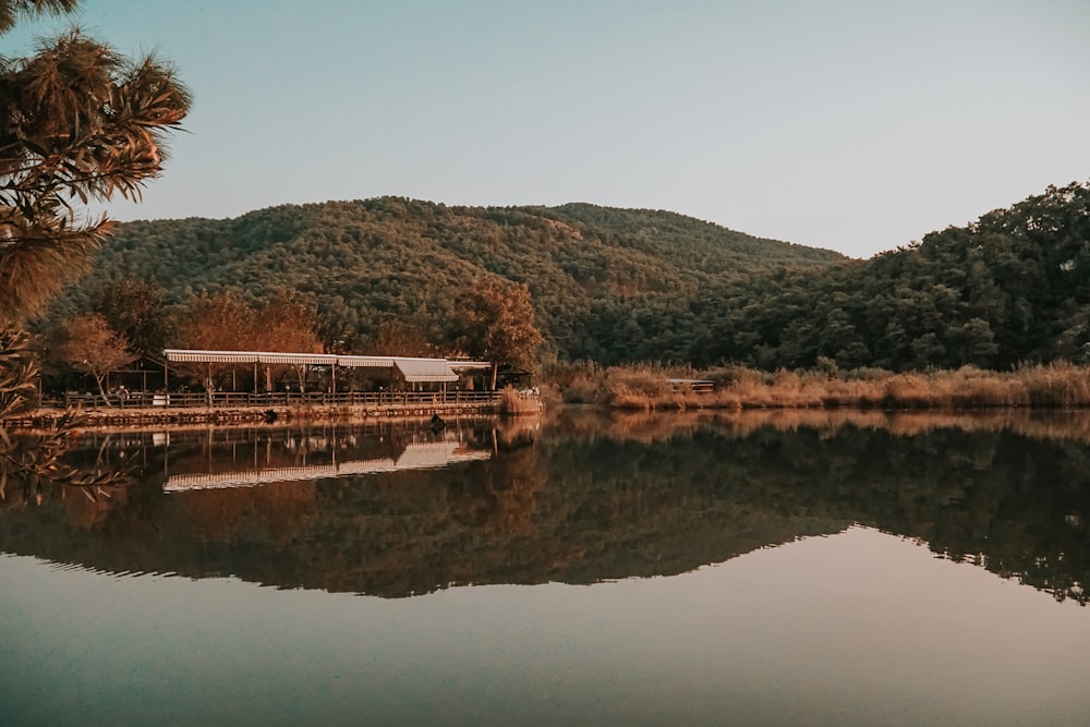 brown wooden bridge over river during daytime