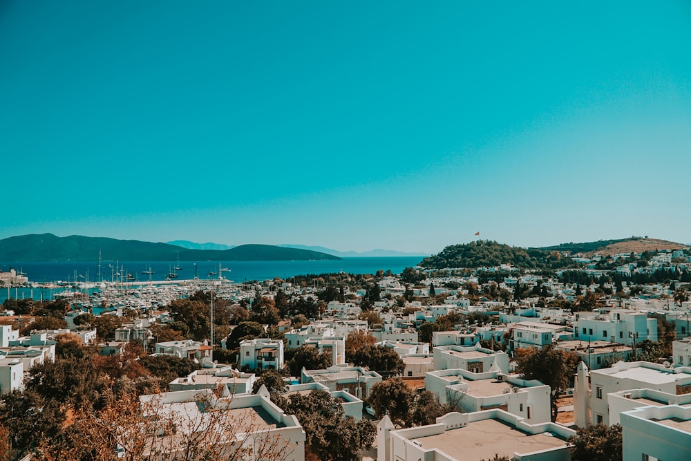 aerial view of city buildings during daytime