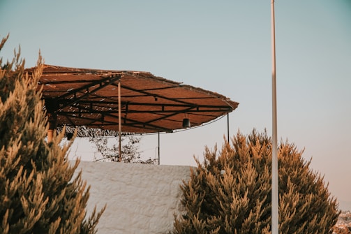 A wooden pergola structure with a slatted roof sits atop a white wall surrounded by dense, tall shrubbery. The sky is clear with a pale blue hue.