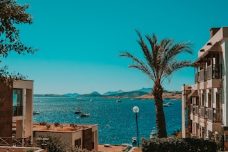 body of water near mountain during daytime