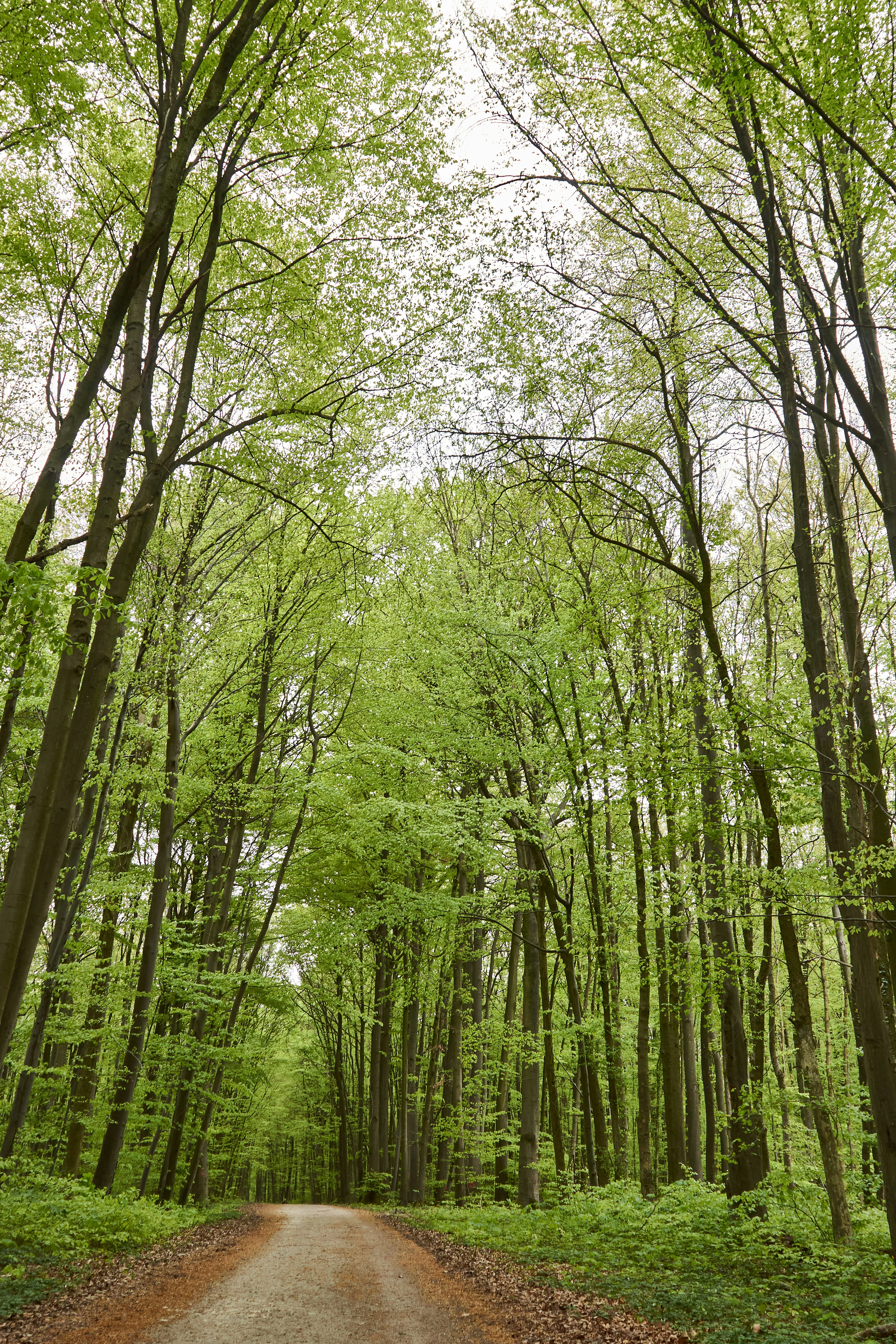 Photo by wolfgang_hasselmann