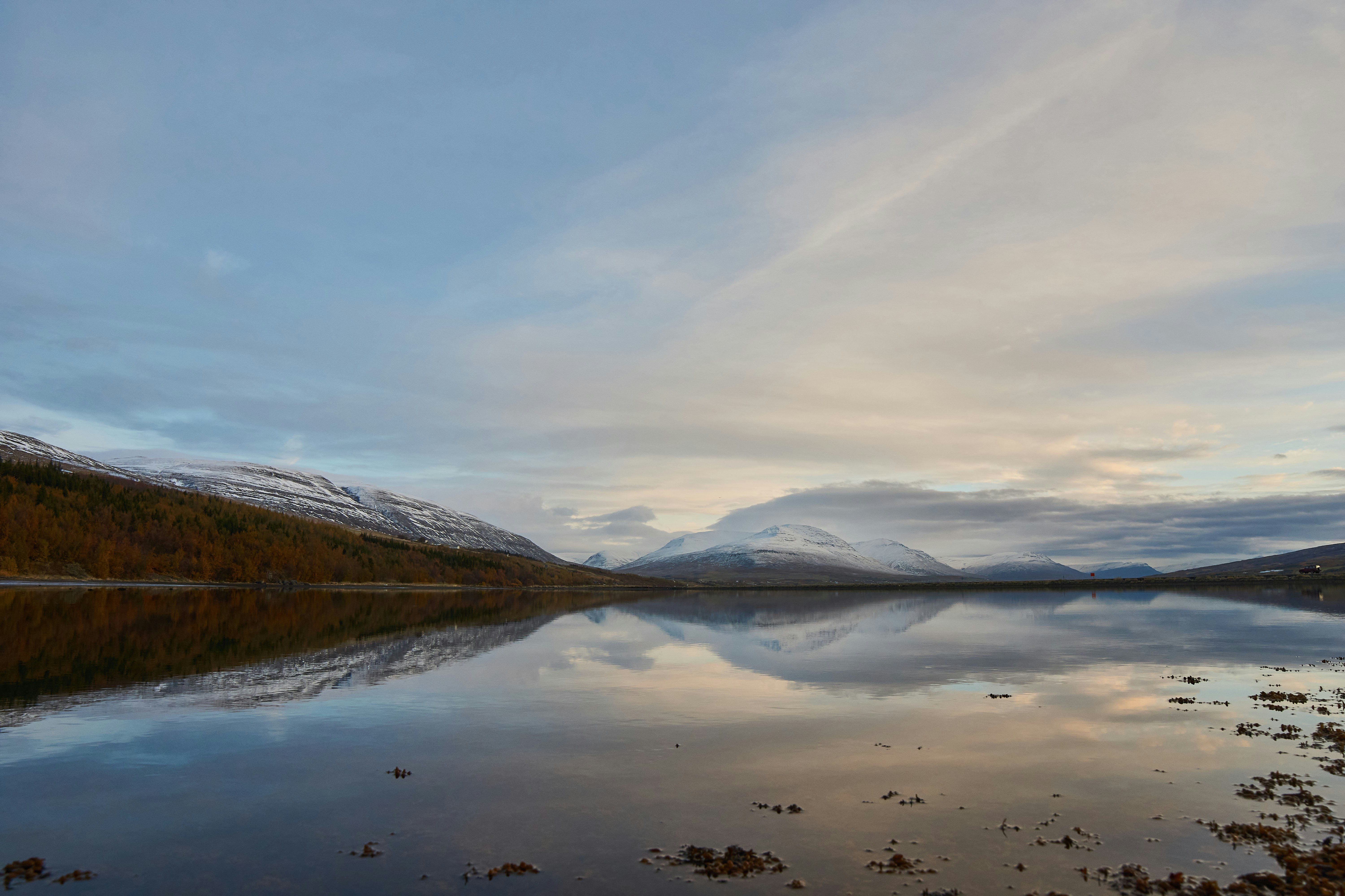 Photo by wolfgang_hasselmann