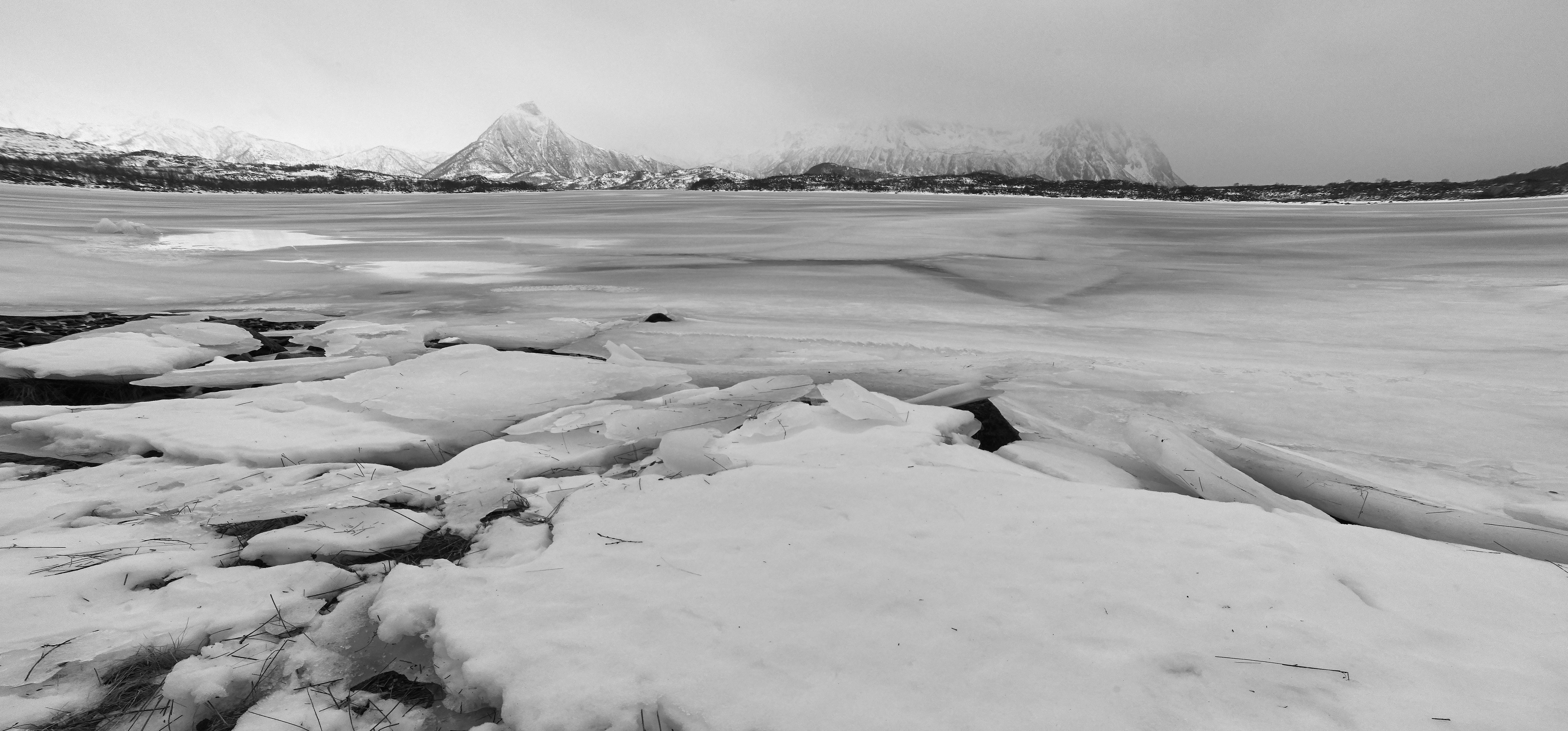 Photo by wolfgang_hasselmann