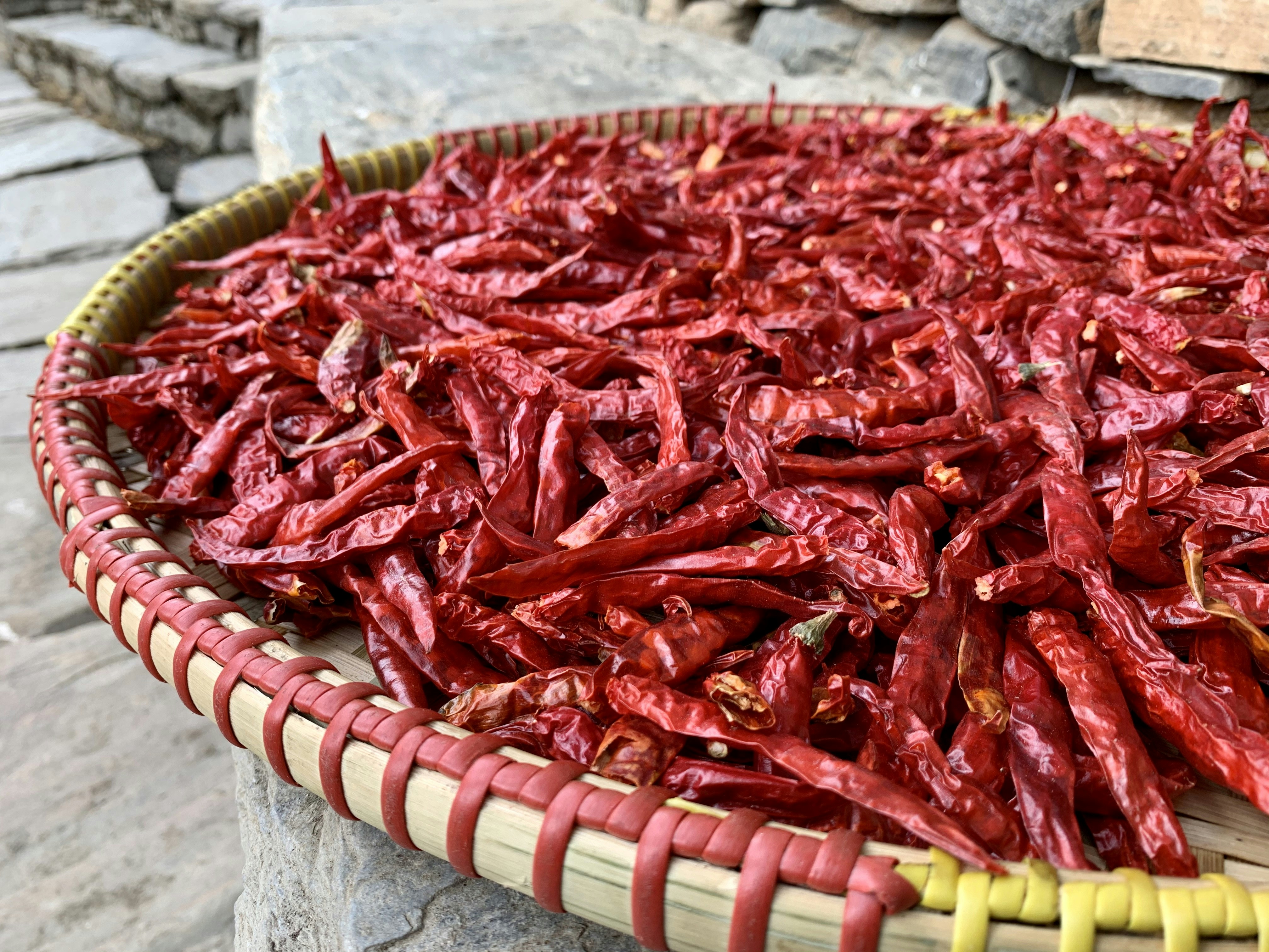 https://images.unsplash.com/photo-1583062751840-733b2d84618c?ixid=M3w2MjYzNjJ8MHwxfHNlYXJjaHw4fHxDaGlsaSUyN3N8ZW58MHwwfHx8MTc0NDg4MjI3NXww&ixlib=rb-4.0.3