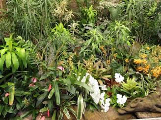 A lush, vibrant garden with a variety of tropical plants and flowers. The foliage includes different shades and shapes of green leaves, accented with colorful flowers in hues of pink, white, and orange. The scene is dense and natural, with diverse plant species closely planted together. A decorative stone dragon-like sculpture is partially visible among the greenery.