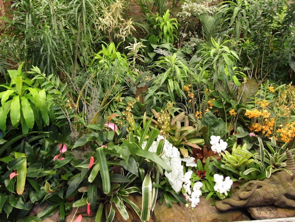 A lush, vibrant garden with a variety of tropical plants and flowers. The foliage includes different shades and shapes of green leaves, accented with colorful flowers in hues of pink, white, and orange. The scene is dense and natural, with diverse plant species closely planted together. A decorative stone dragon-like sculpture is partially visible among the greenery.