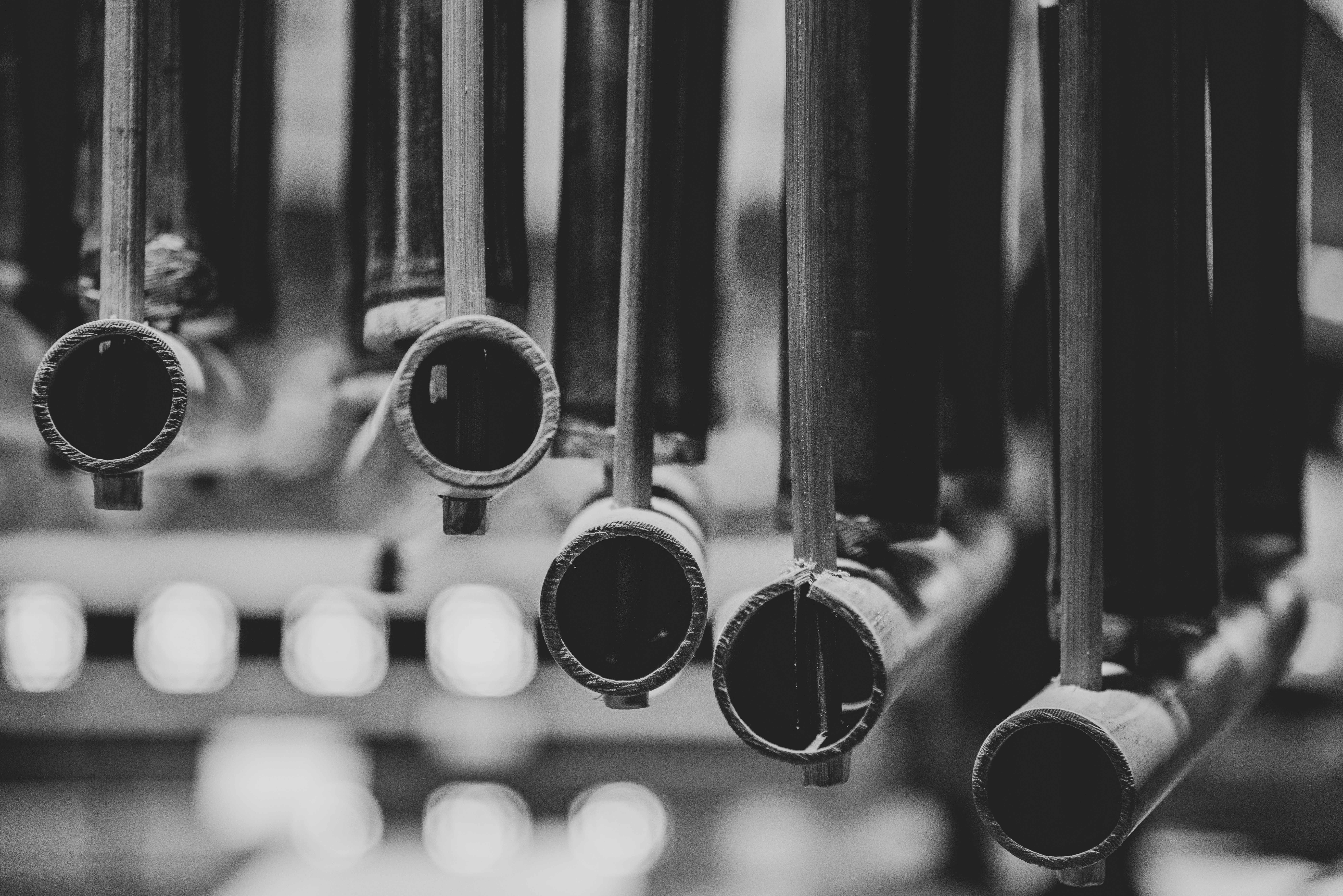 Photo by maybeimdreaming