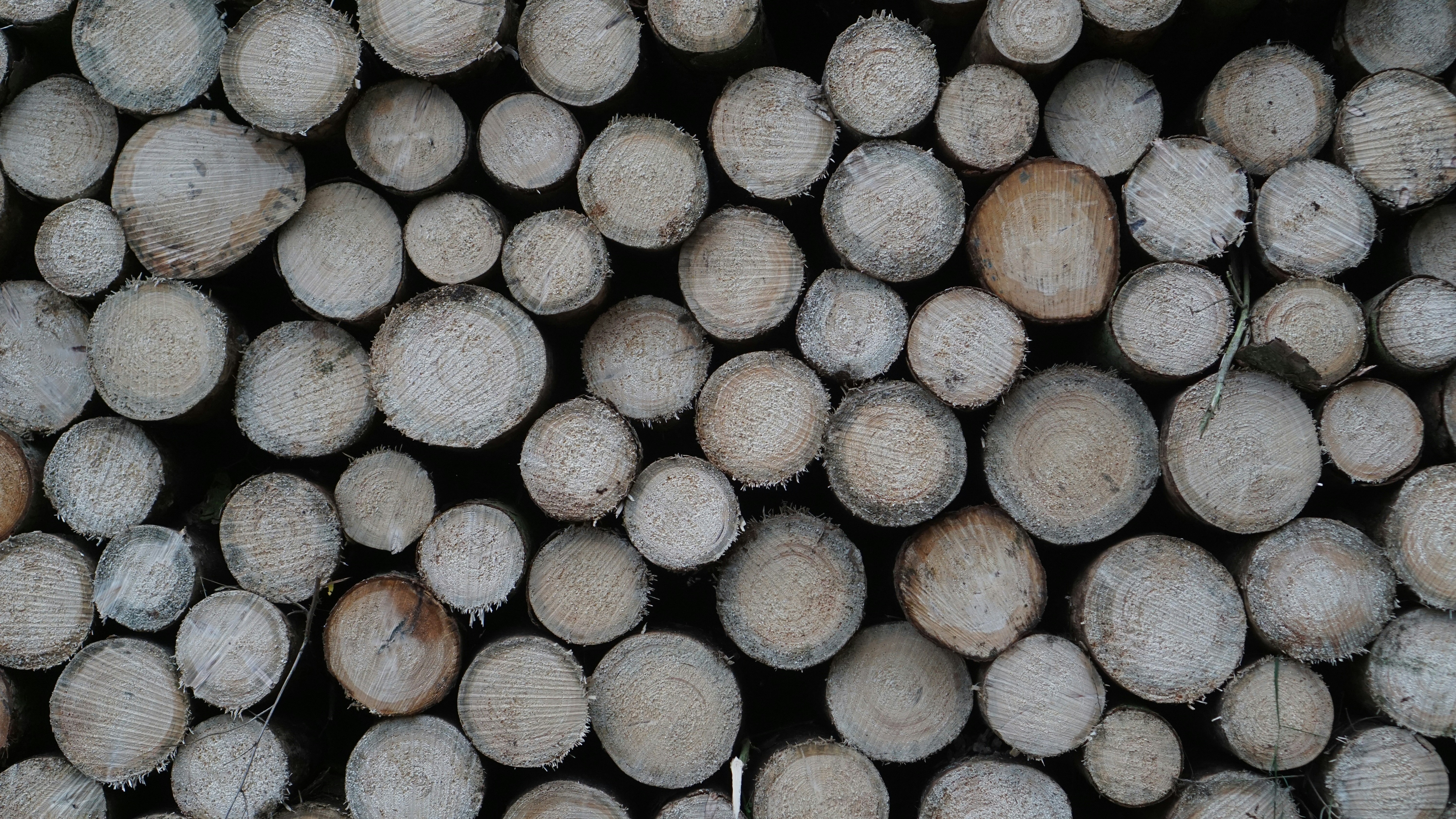 Photo by lukasrudolsky