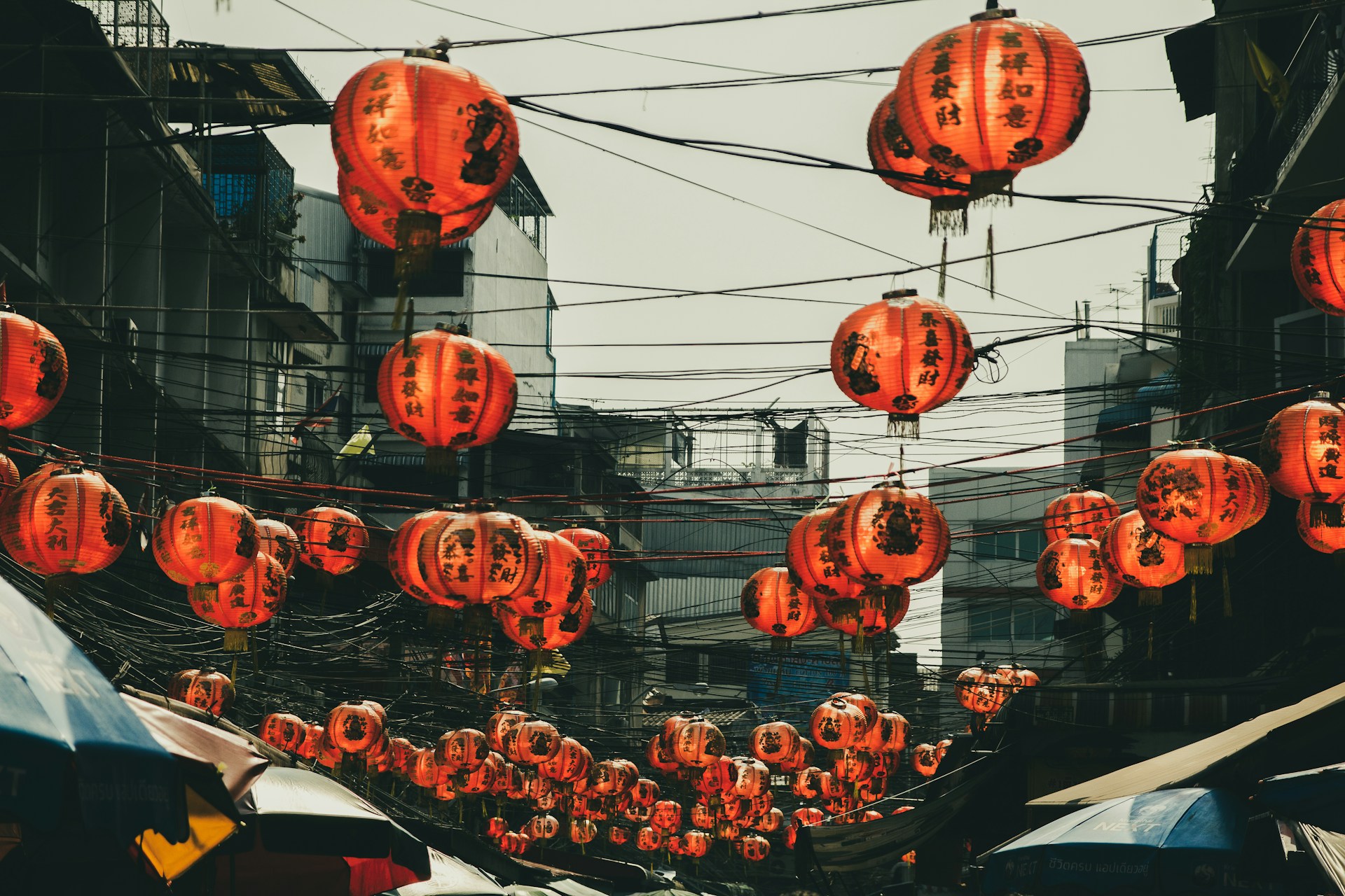 orange chinese lanterns on street during daytime