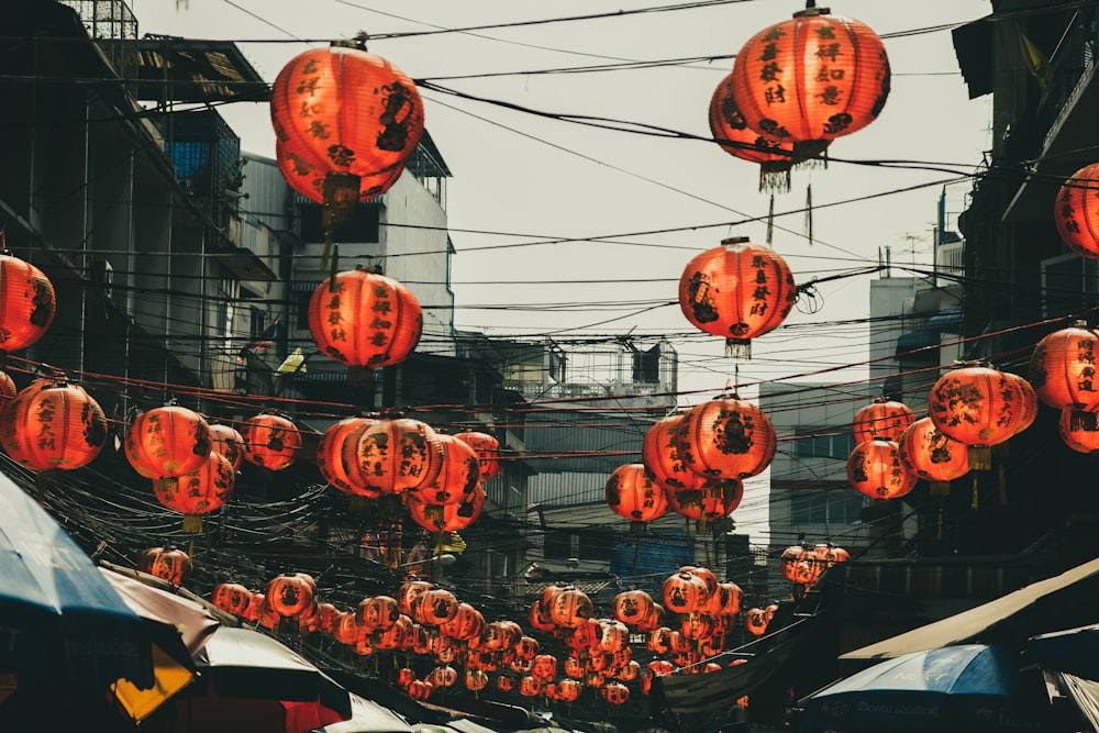 orange chinese lanterns on street during daytime
