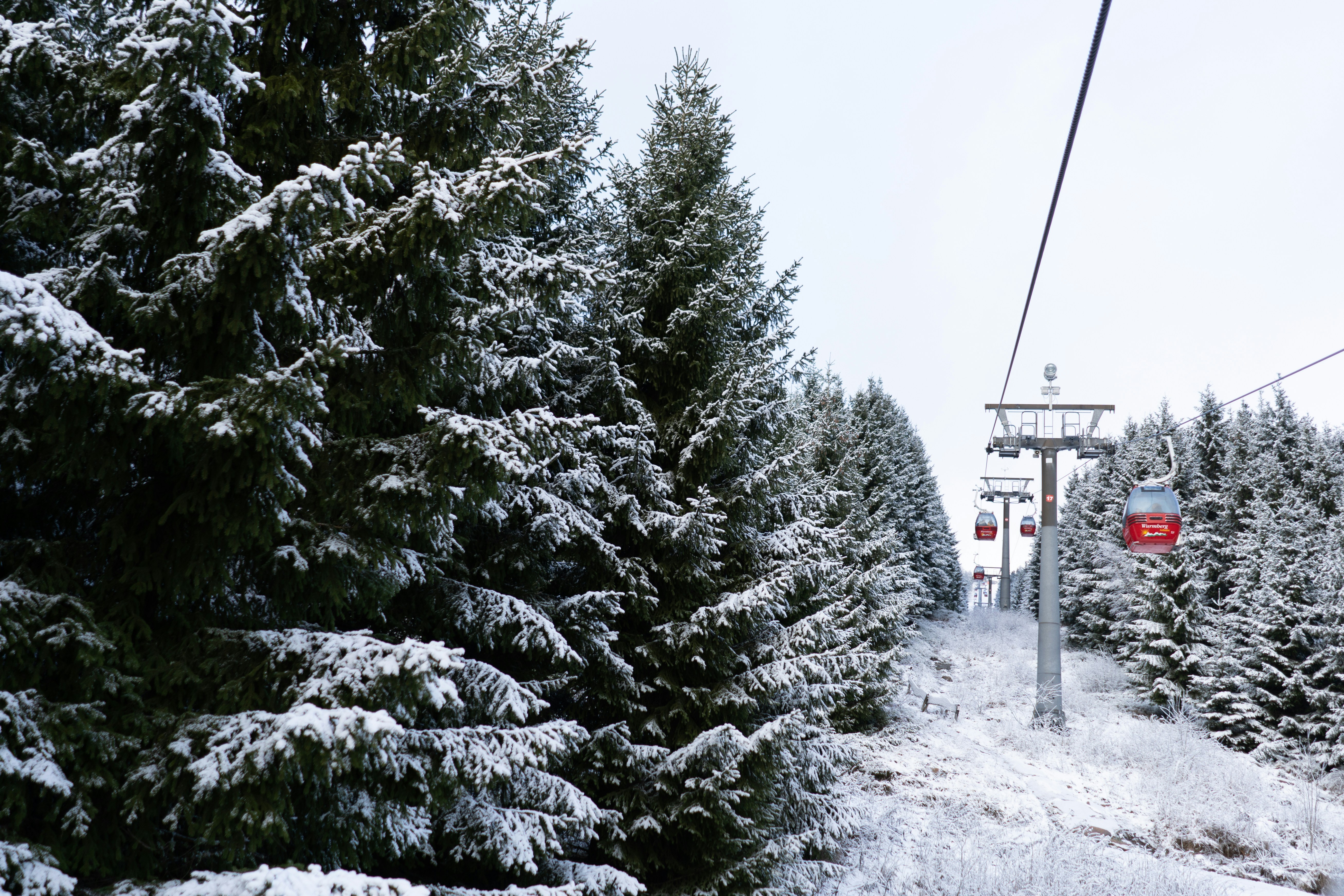 Photo by madebyjanephotography