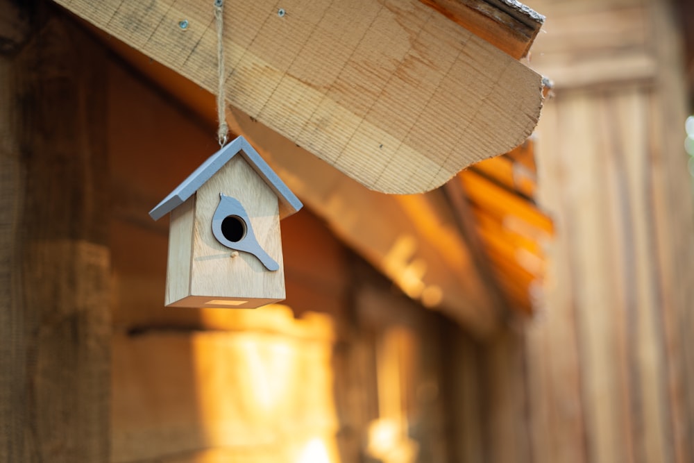 brown wooden bird house in tilt shift lens
