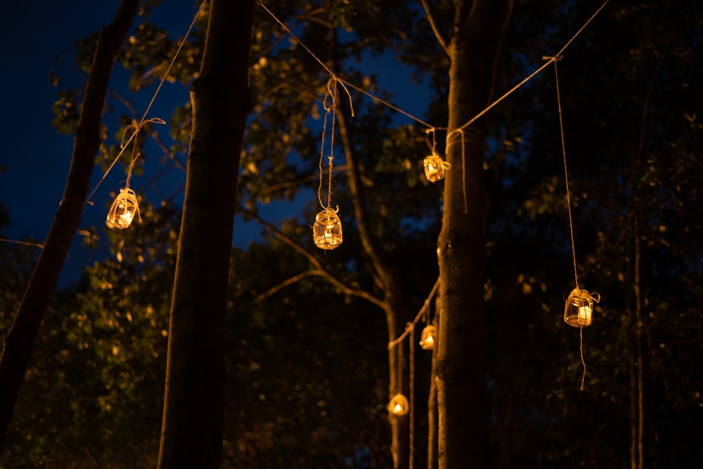 brown hanging ornament on brown tree branch during night time