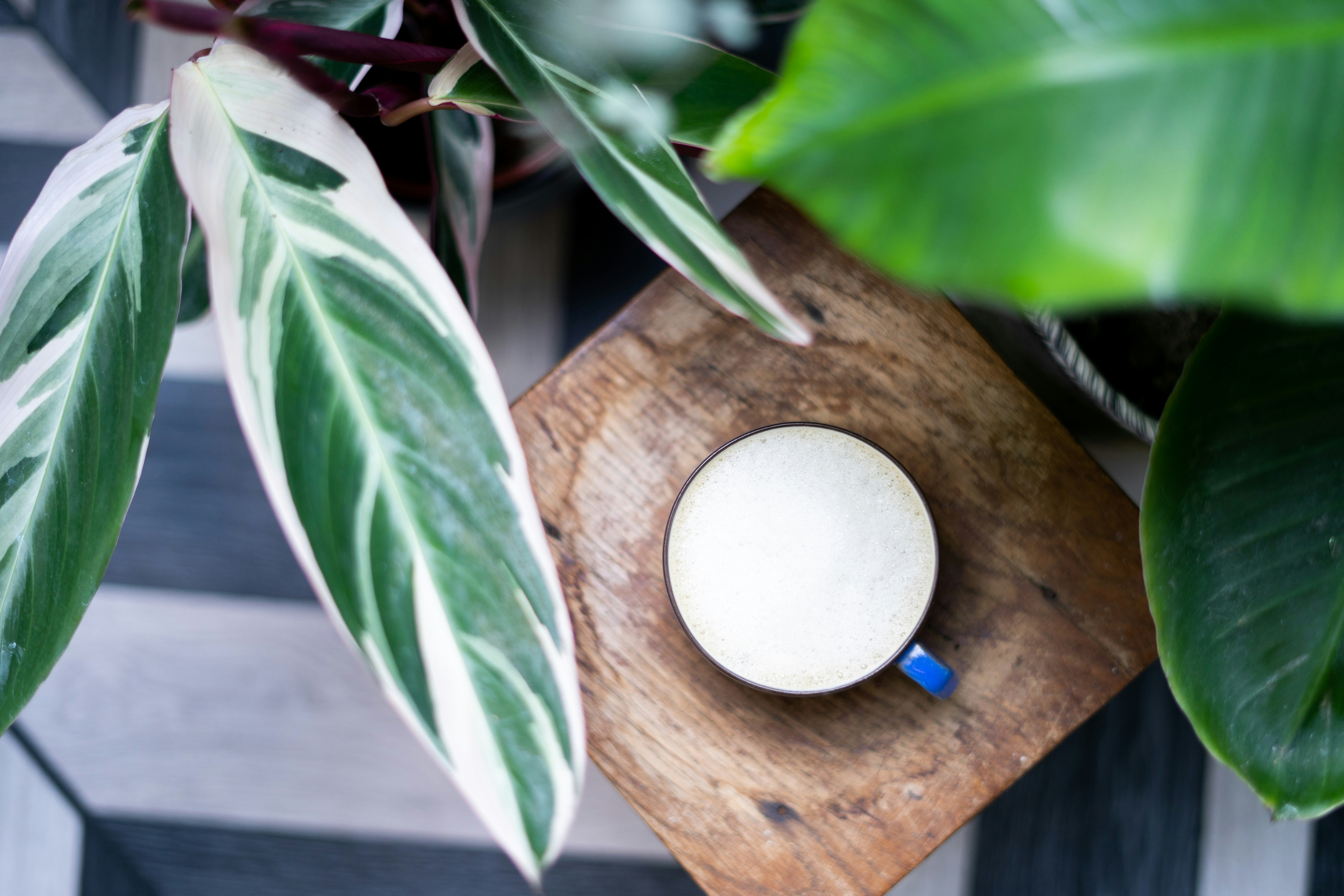 Photo by madebyjanephotography