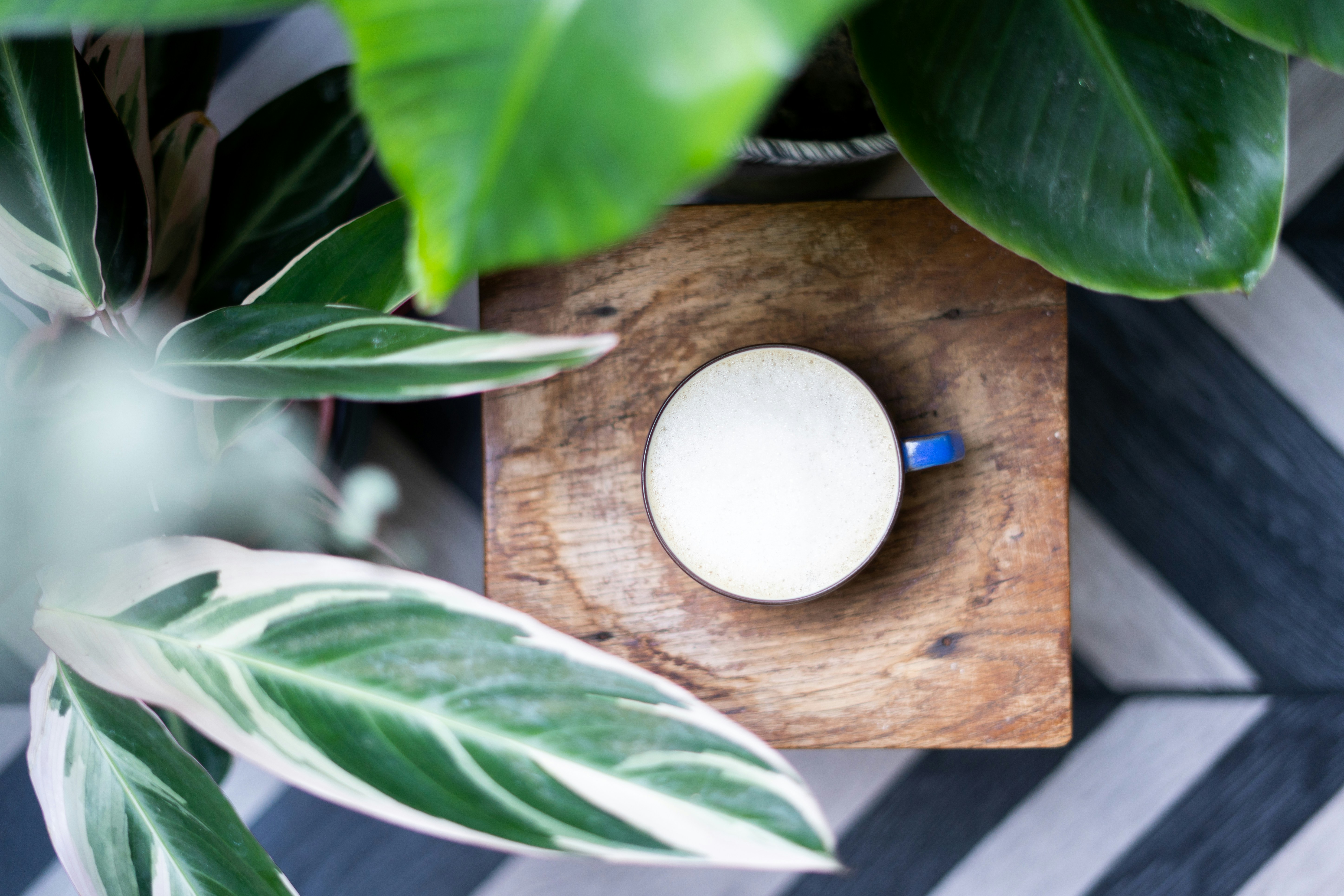 Photo by madebyjanephotography