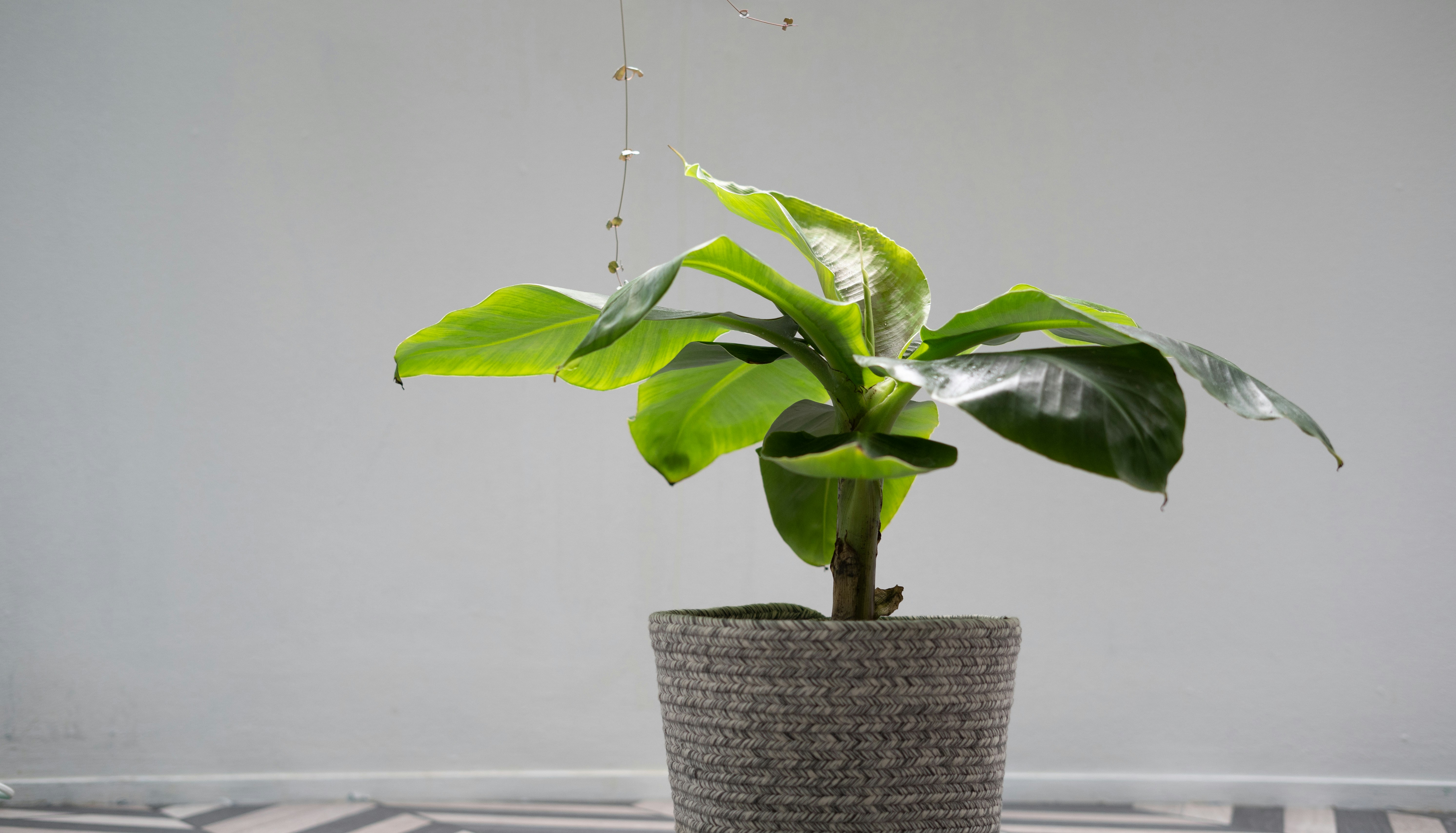 Photo by madebyjanephotography