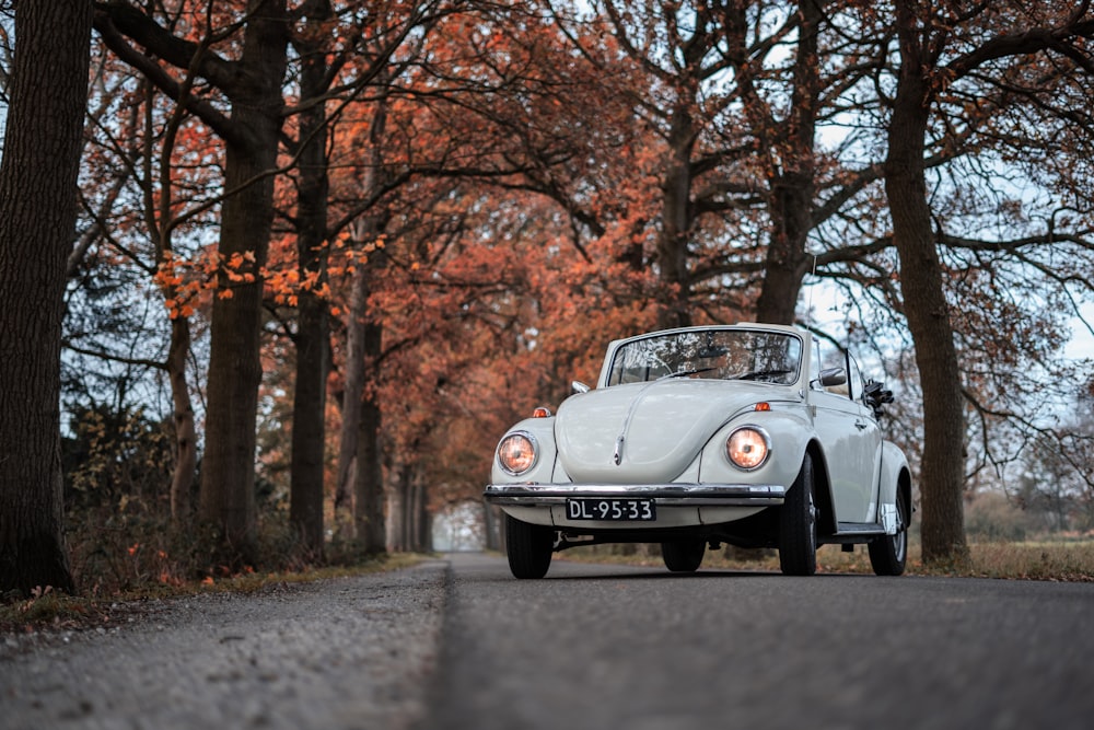 white car parked on road near trees during daytime