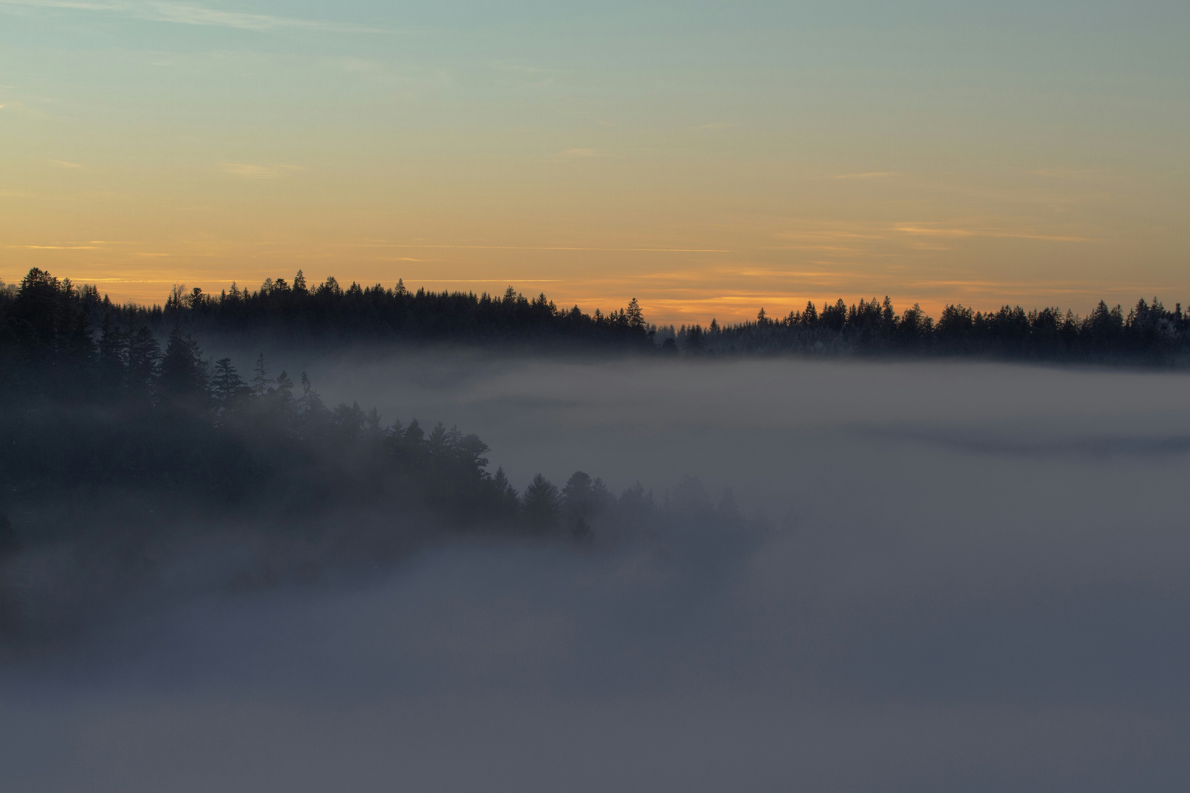 Photo by reist_photography