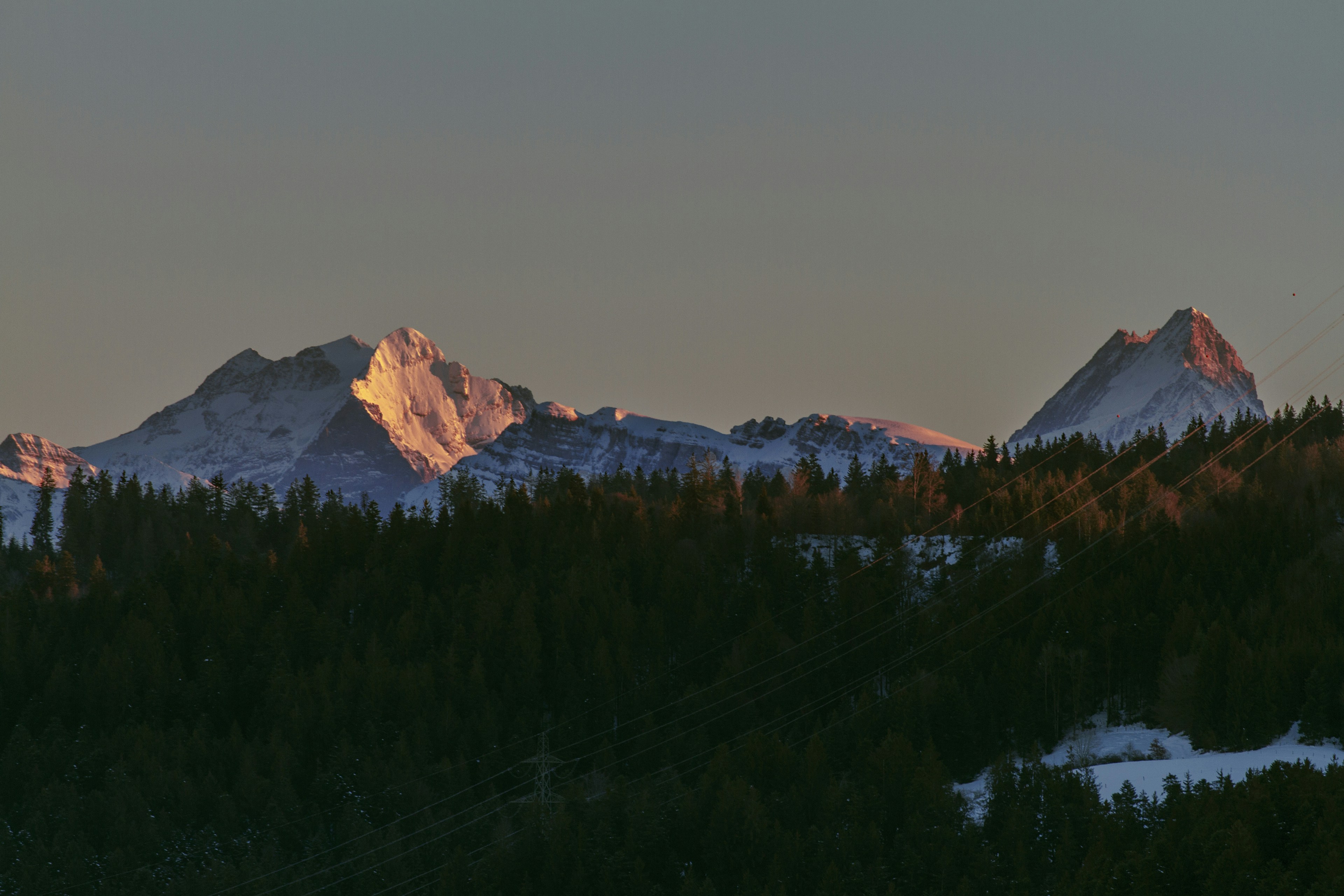 Photo by reist_photography