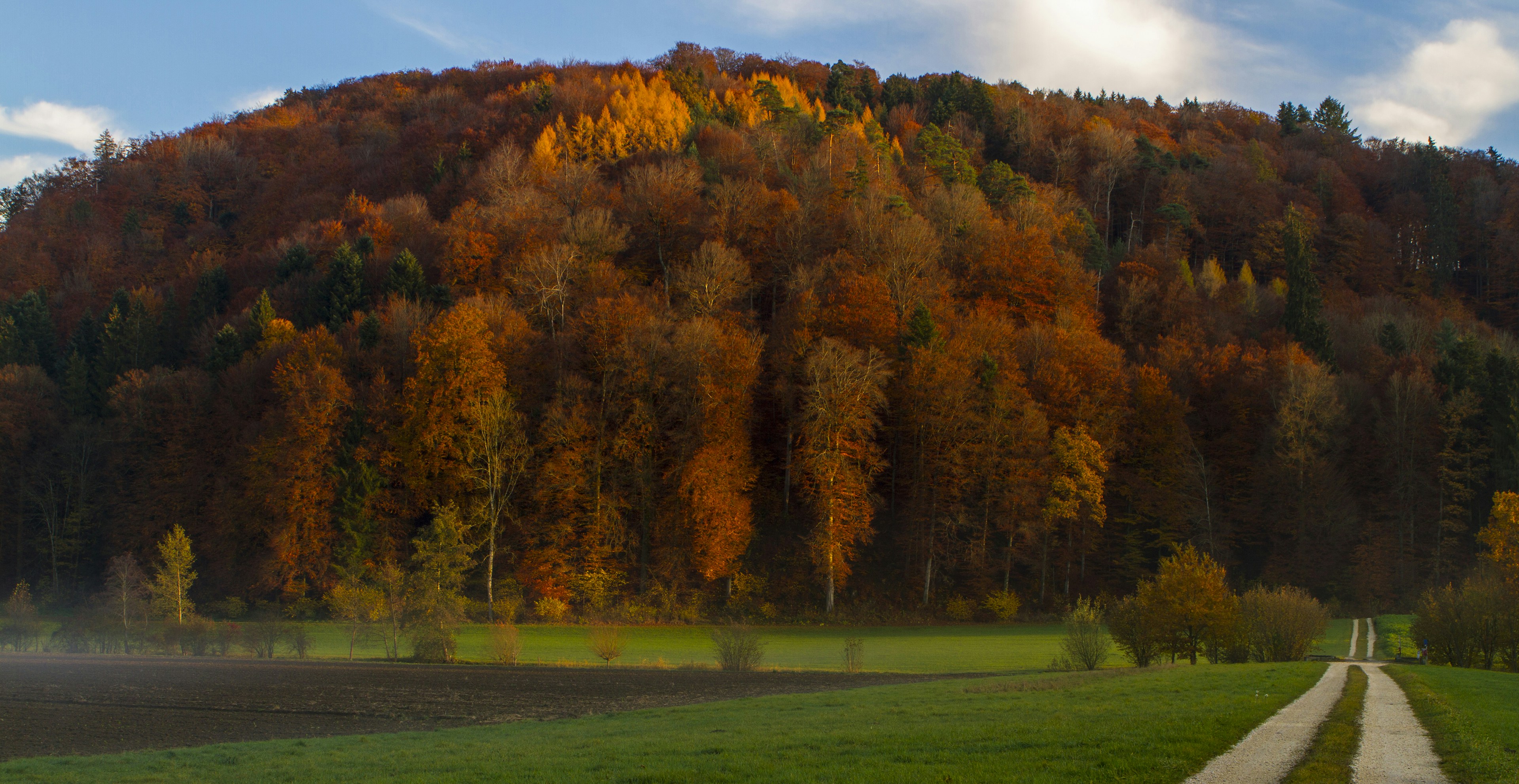 Photo by reist_photography