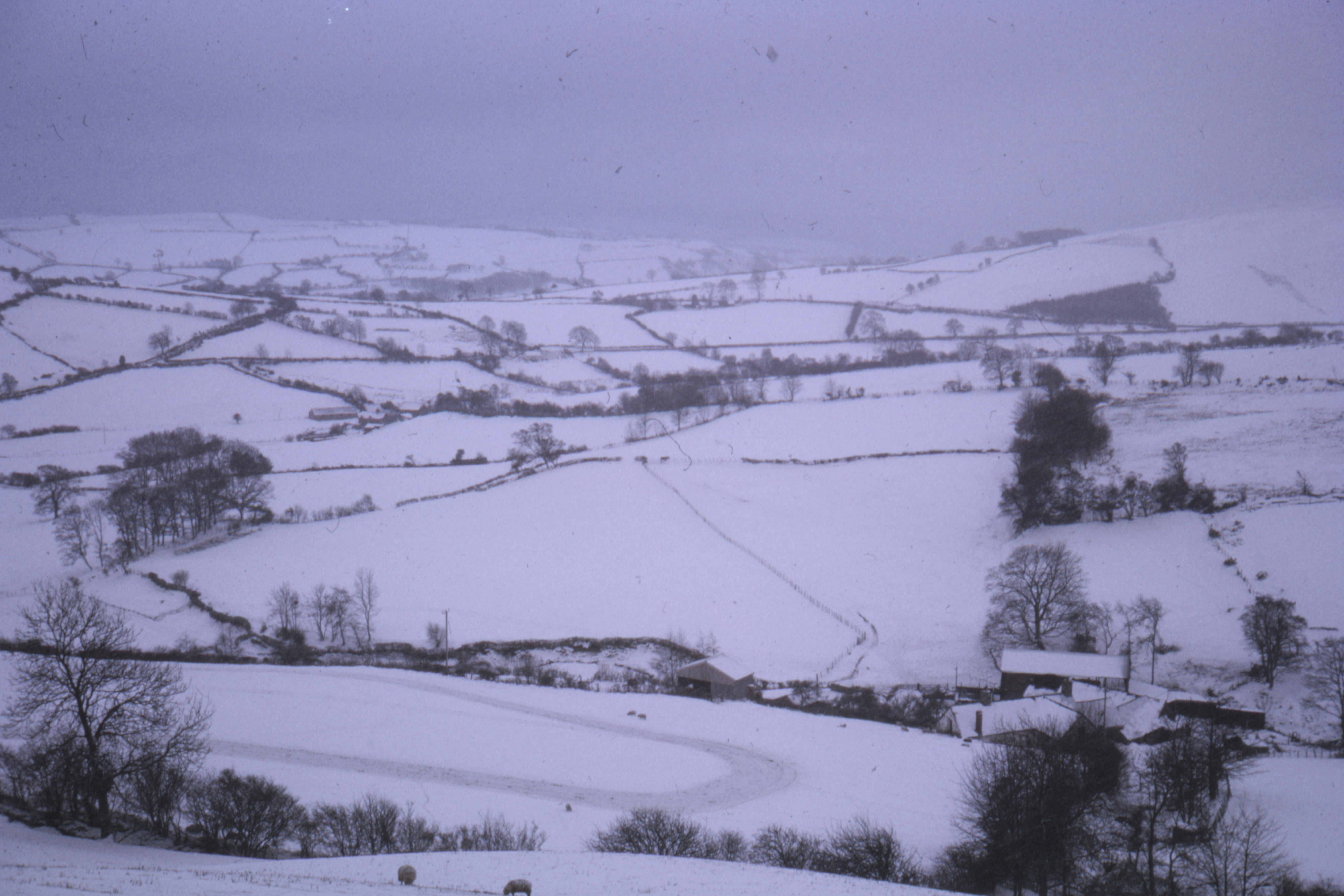 Photo by anniespratt