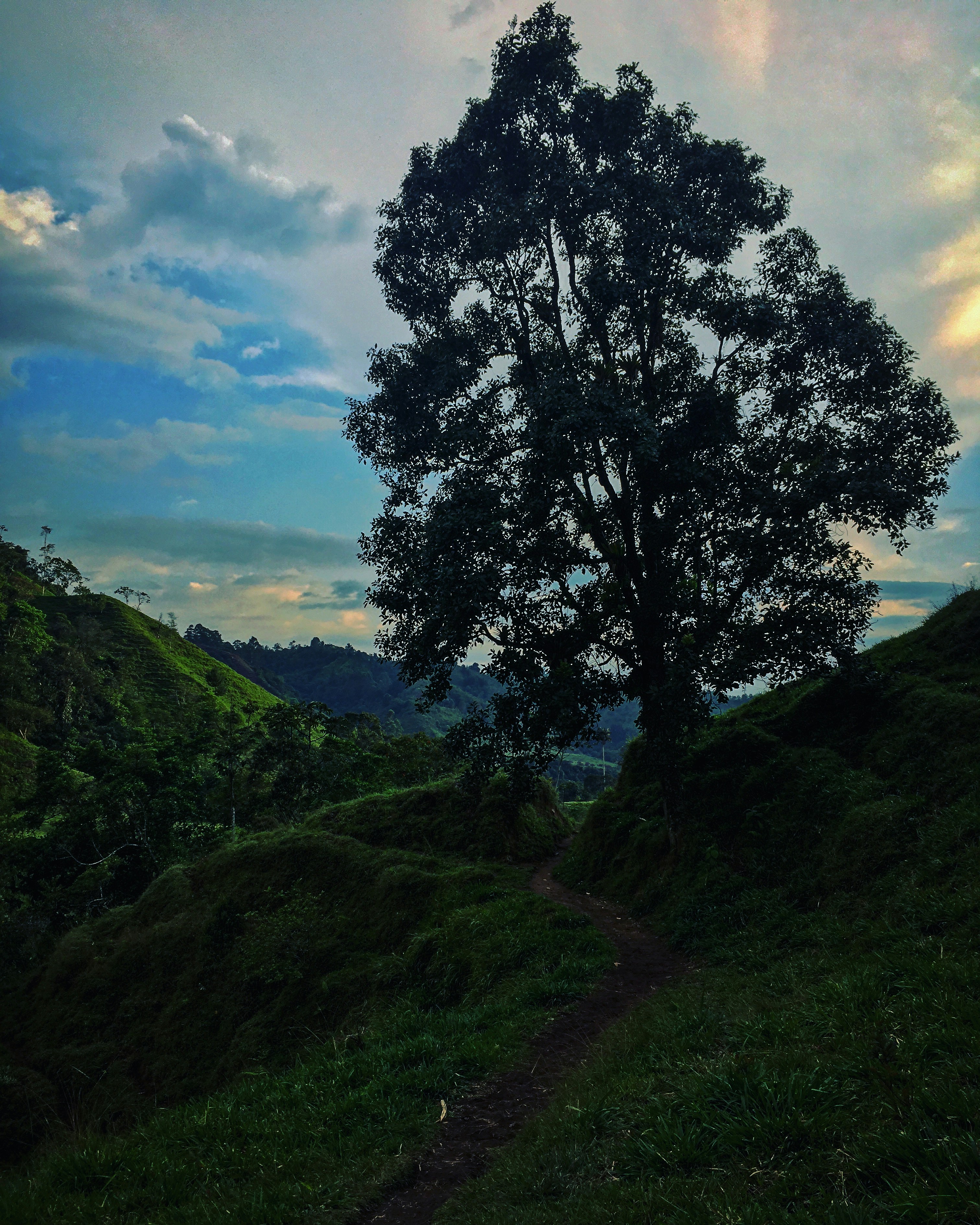 Photo by egarcial1111