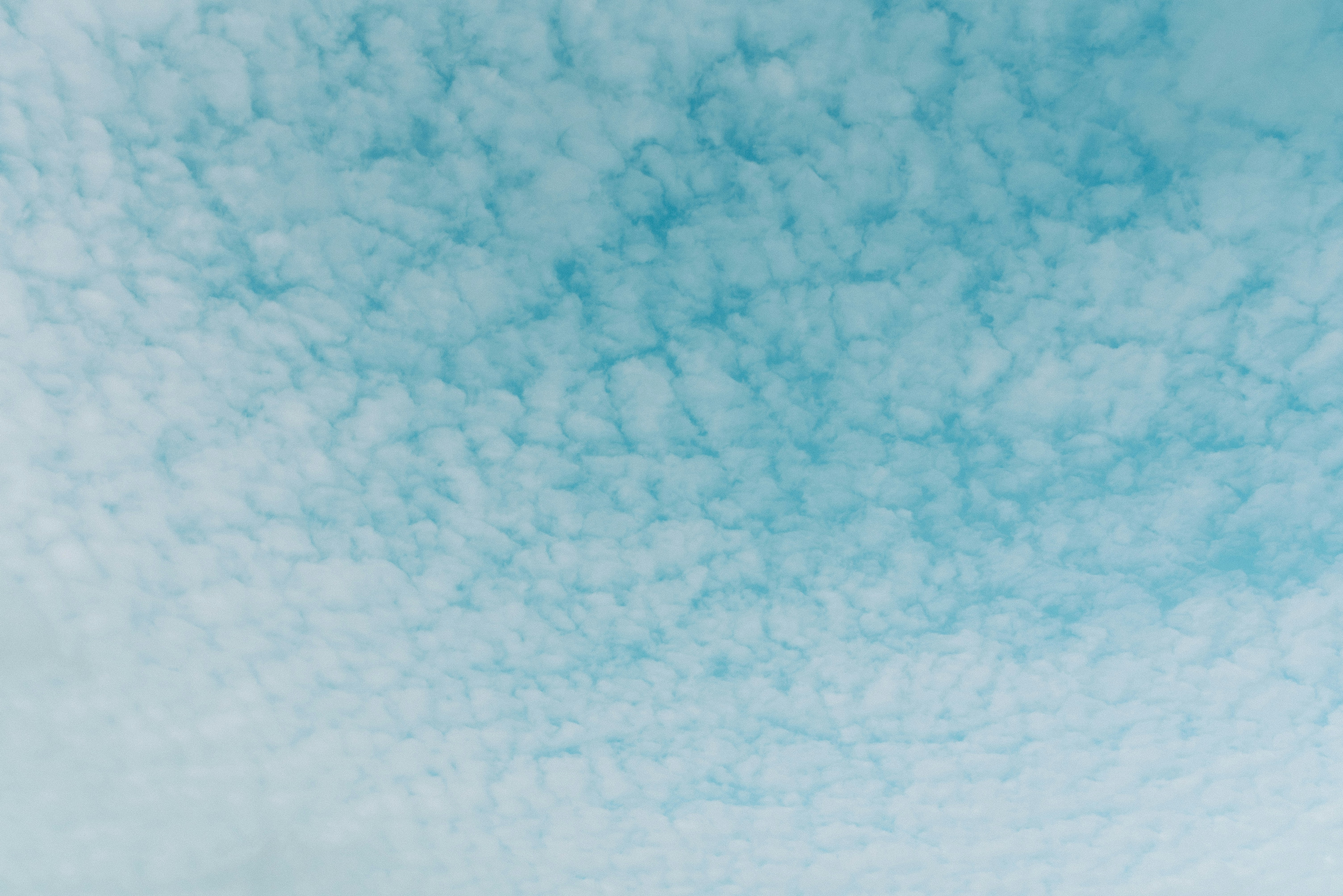 Photo by nathanielyeo