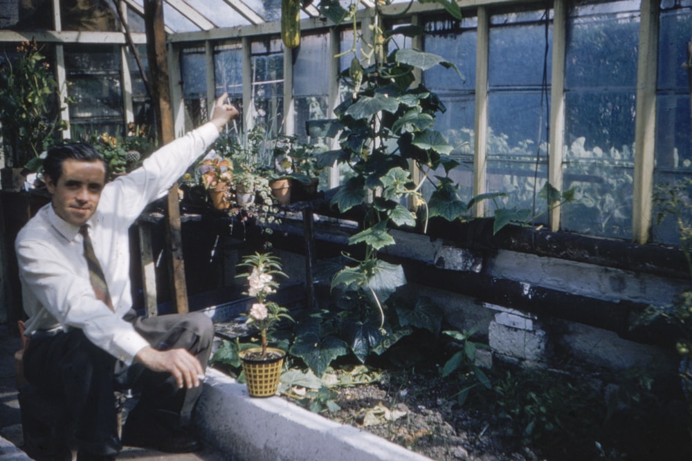 person in white long sleeve shirt holding yellow and green flower