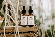 Two brown dropper bottles labeled 'Asé Pure Naturals' are placed side by side on a rustic wooden surface. The bottles contain a hemp extract product and are surrounded by intertwined, dried branches, creating a natural and earthy background.