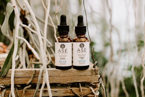 Two brown dropper bottles labeled 'Asé Pure Naturals' are placed side by side on a rustic wooden surface. The bottles contain a hemp extract product and are surrounded by intertwined, dried branches, creating a natural and earthy background.