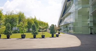 Commercial Landscaping - green trees near gray concrete building during daytime
