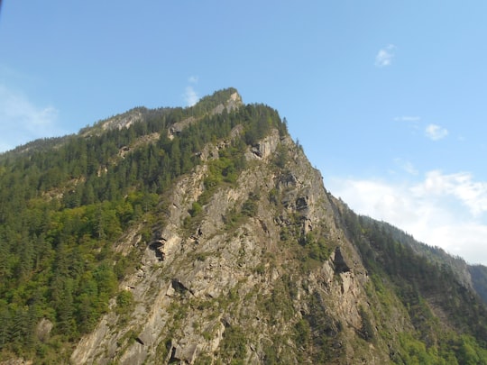 green trees on mountain under blue sky during daytime in Uttarakhand India