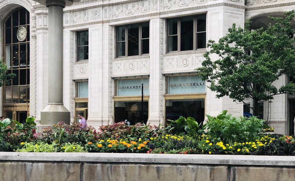 white concrete building with flowers