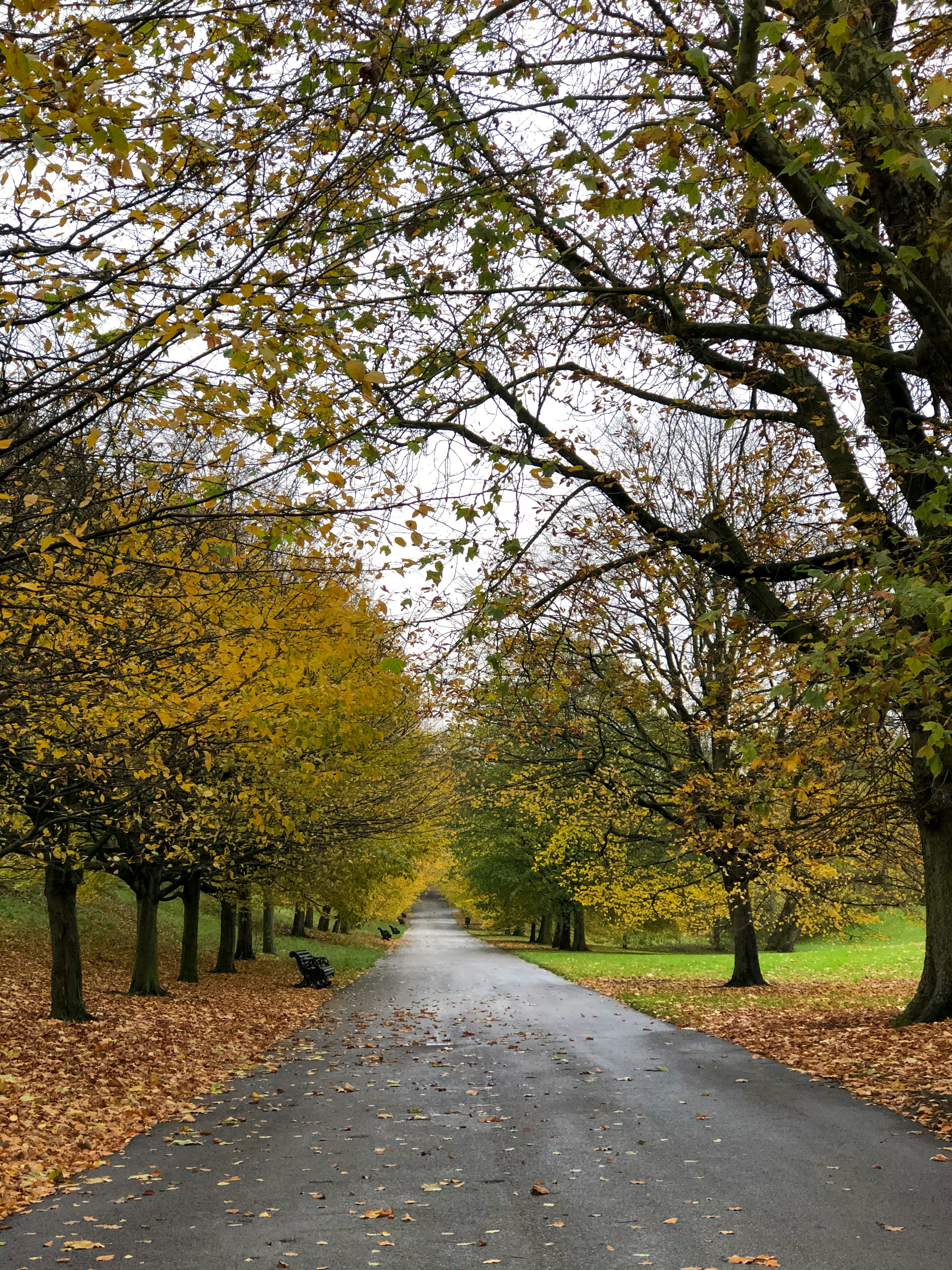 Photo by gabrielkraus