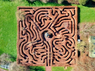 maze for a speech therapy escape room